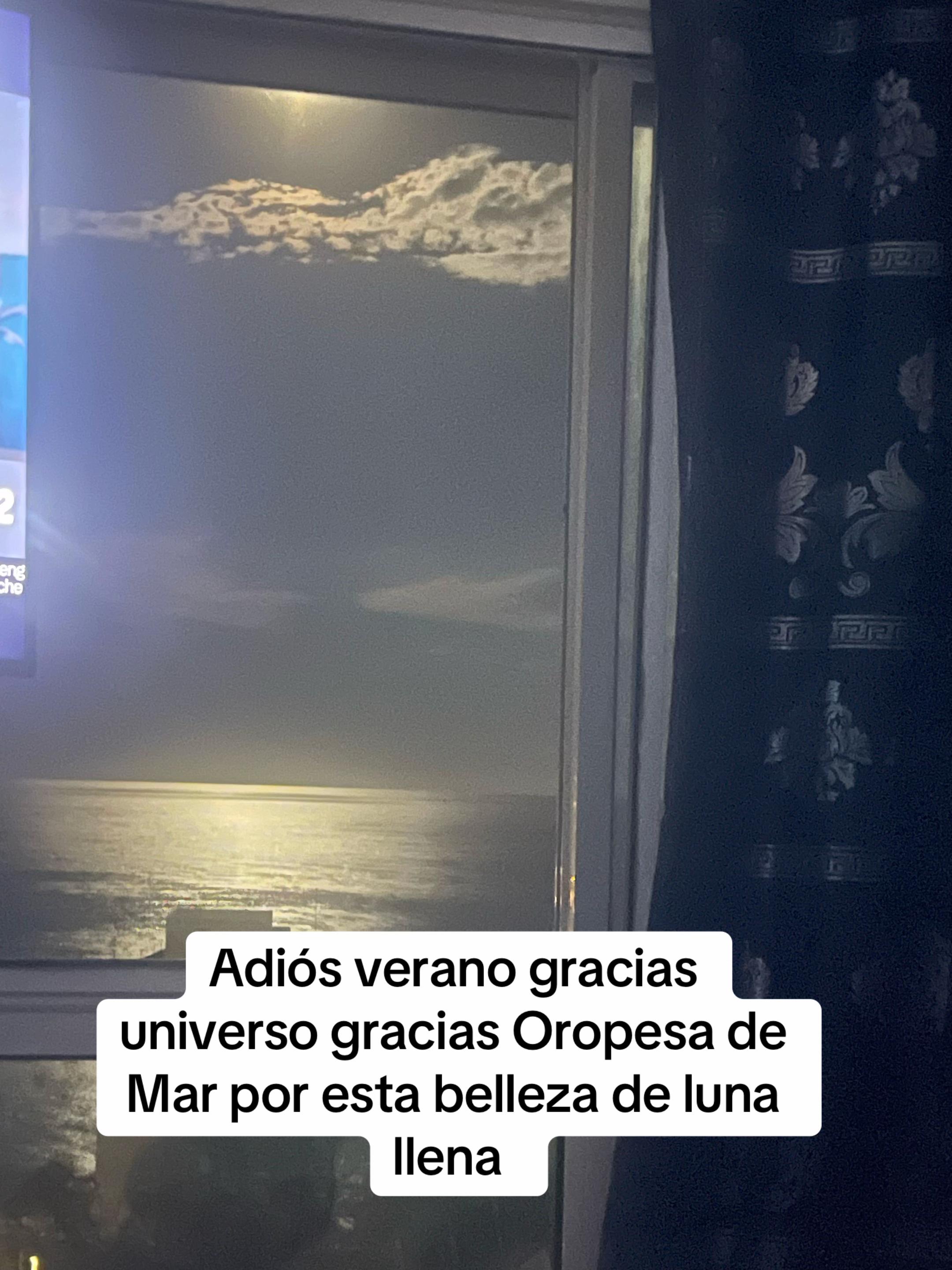 @Carmen Tomás 13