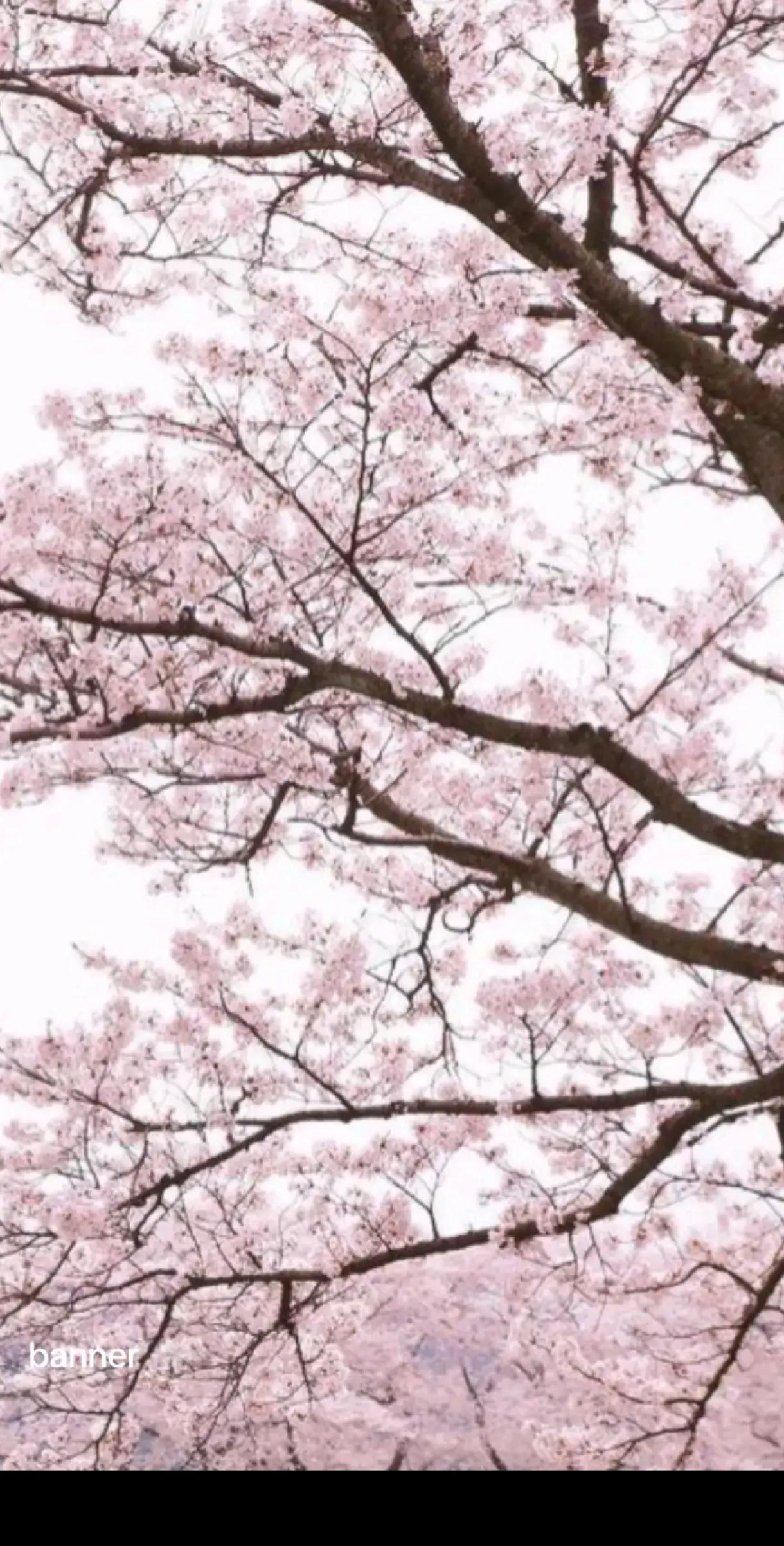 @✧･ﾟ: *✧･ﾟ:*є&cent;н&sigma;&sigma;&sigma;✧･ﾟ: *✧･ﾟ:*
