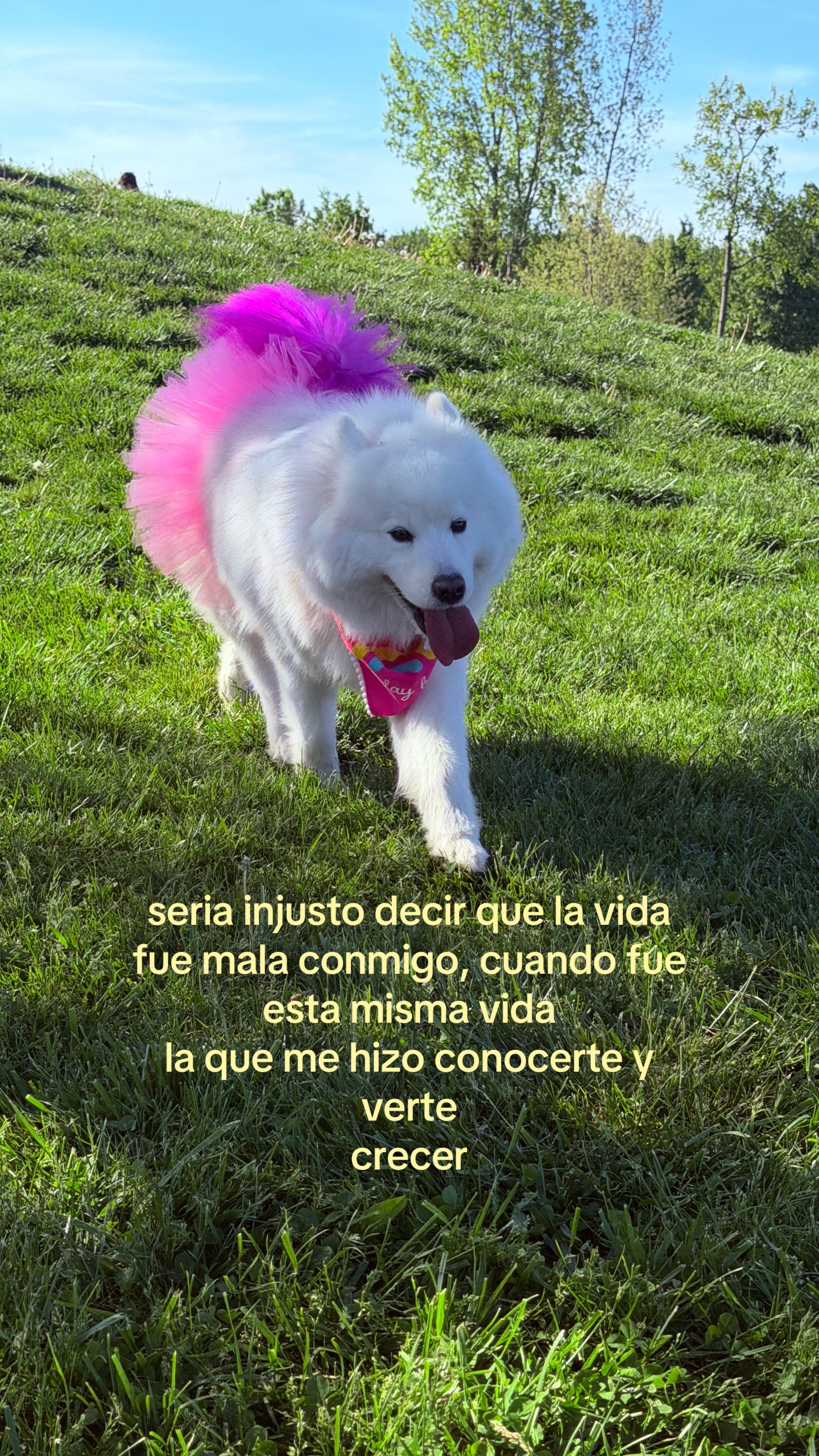 @jacksimarnathaly