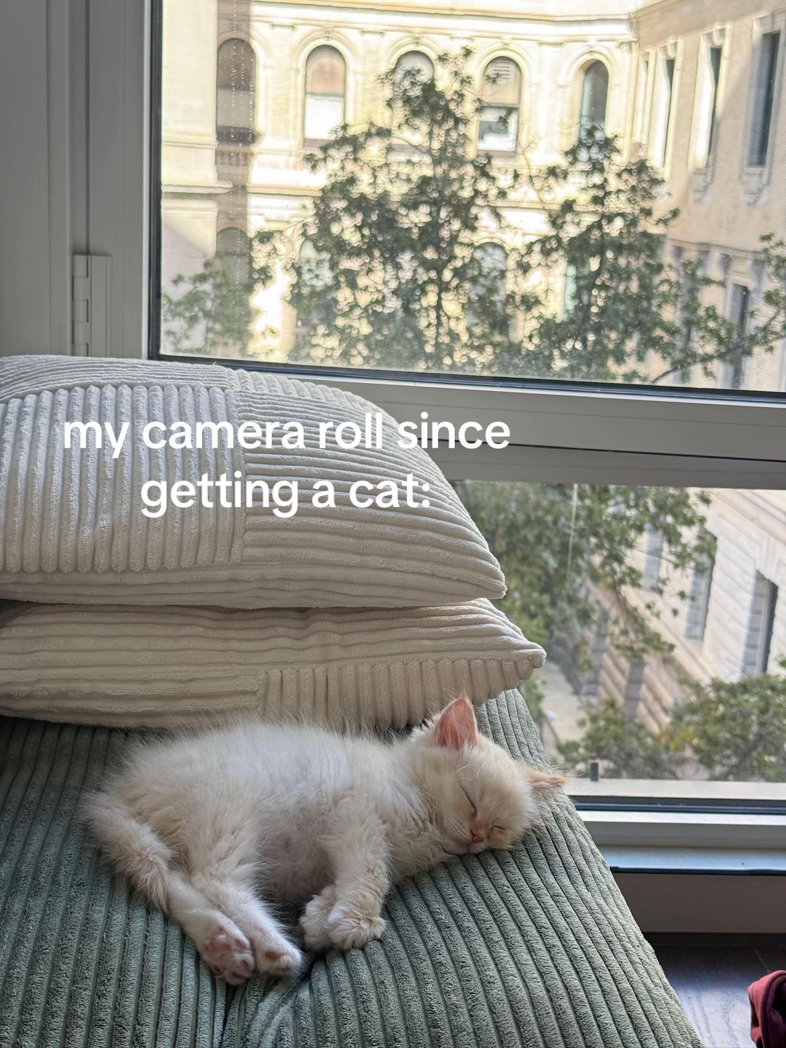 @kat
