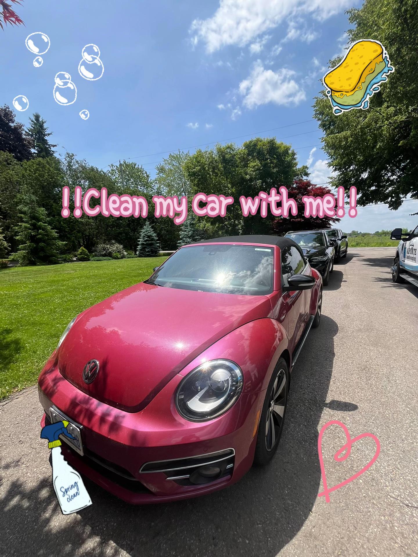 @🌺