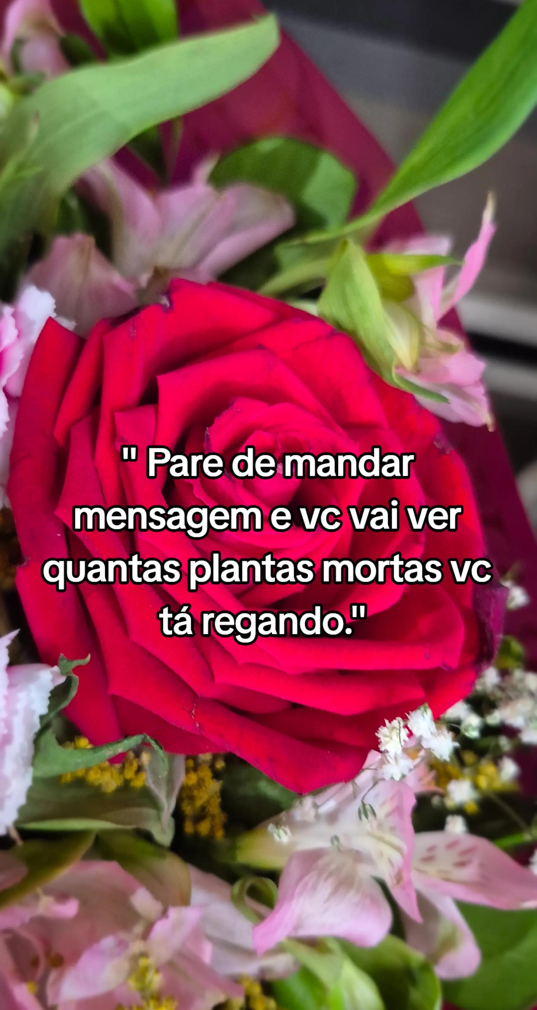 @Priscila Garcia