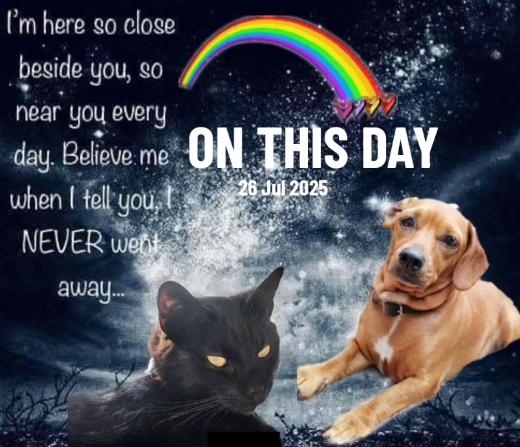 @𖤐รtคtเς.ร๏ยl𖤐×͜×