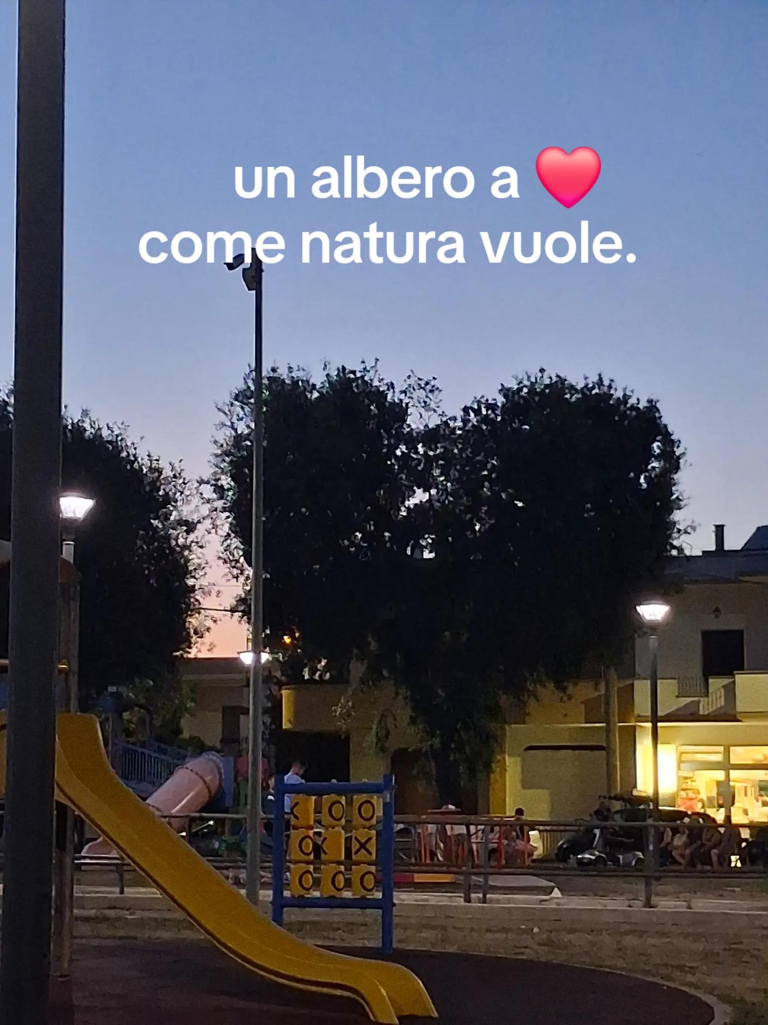 @leonessa
