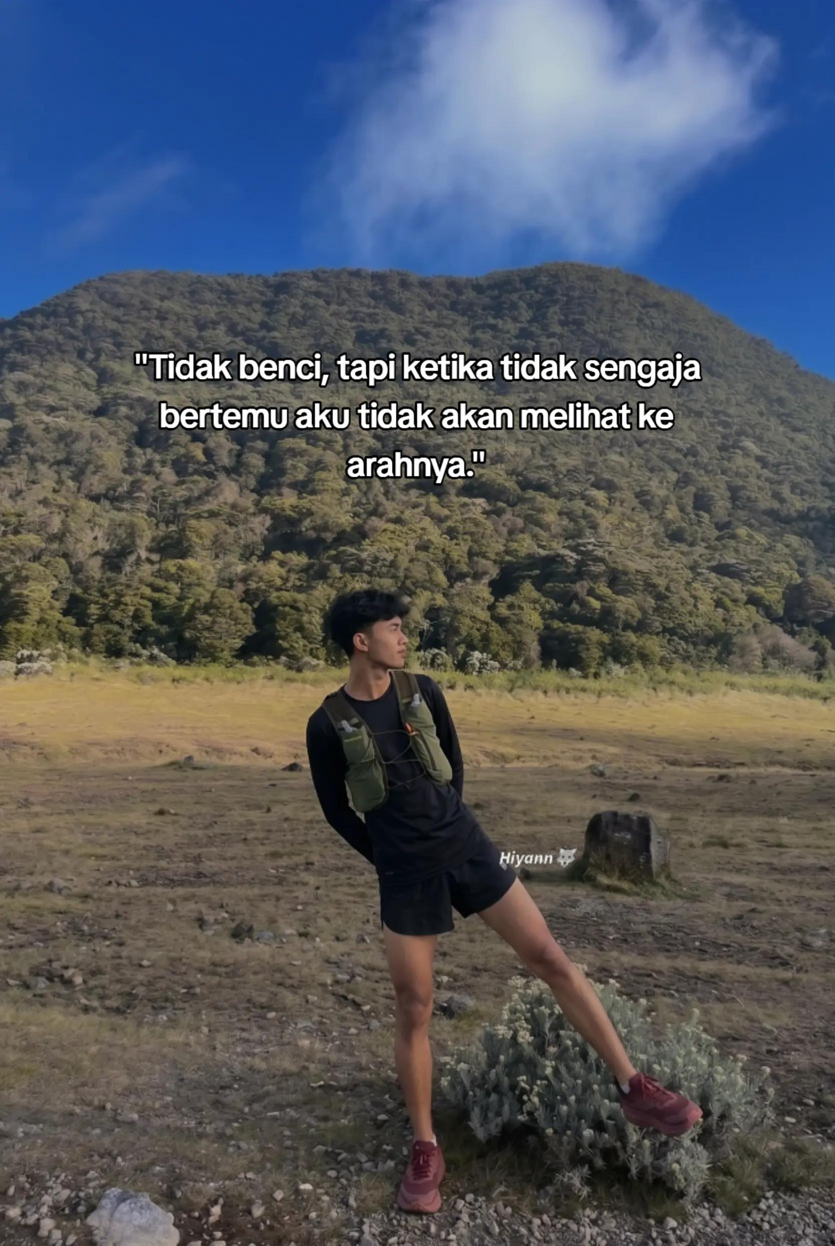 @Hiyann🐺
