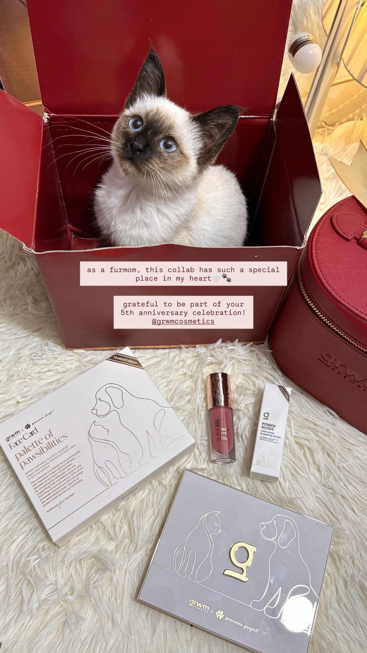 @ig @hly.vd