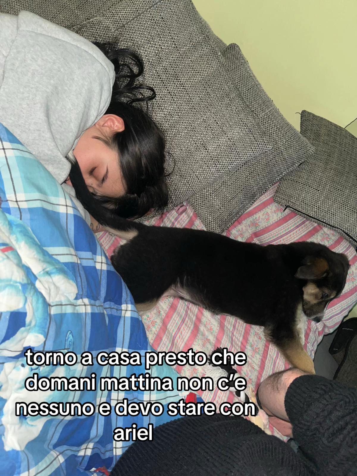 @ciao sono la piccola sanz