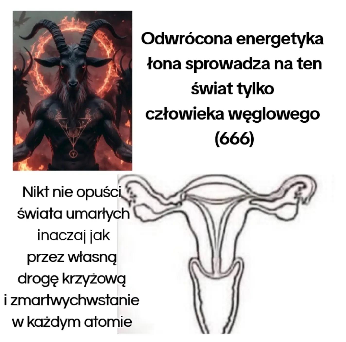 @Maria Elara Nayla