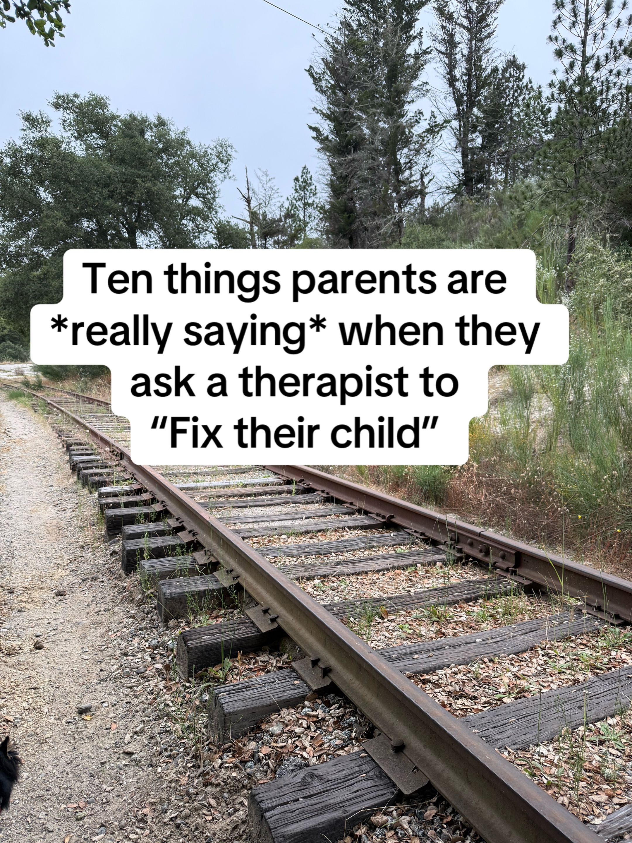 @RedwoodCenterforChildren🌲