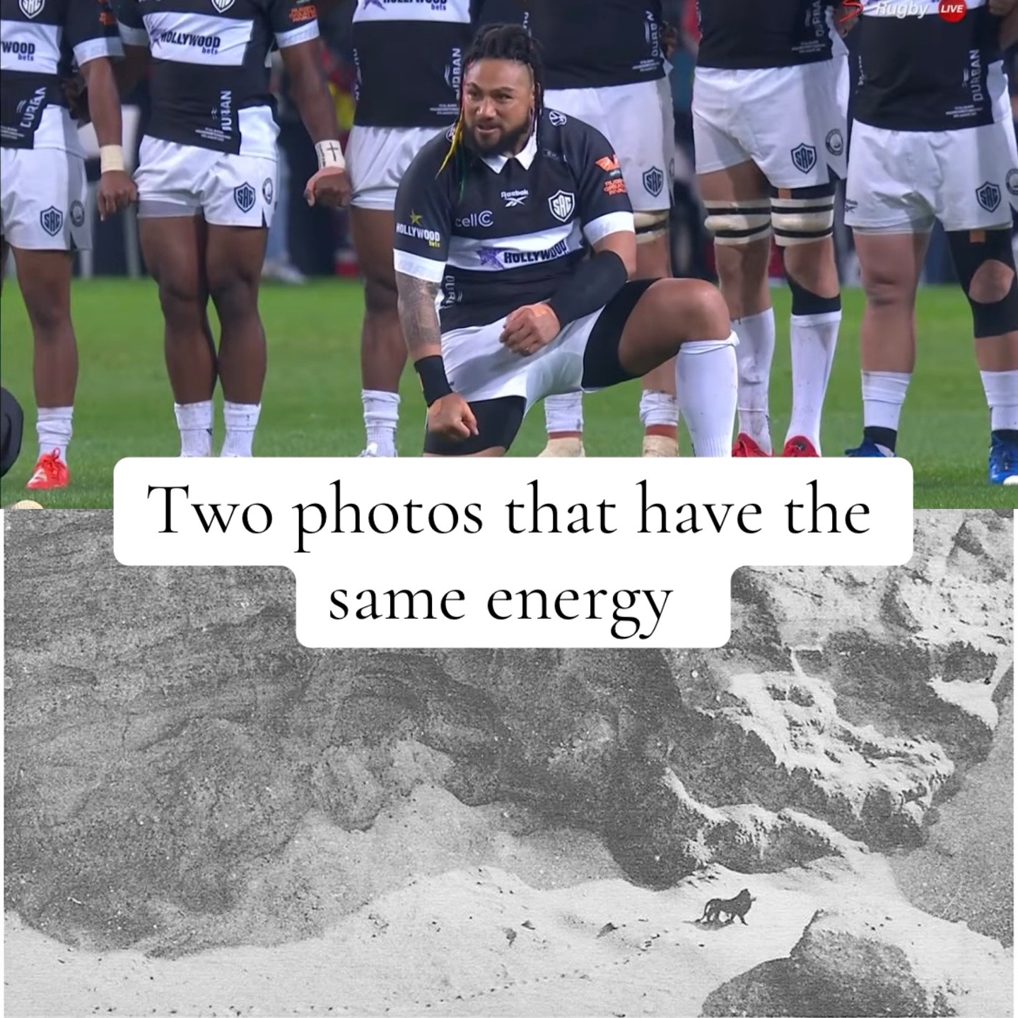 @Keith Rugby🇿🇦🇺🇸🇨🇦
