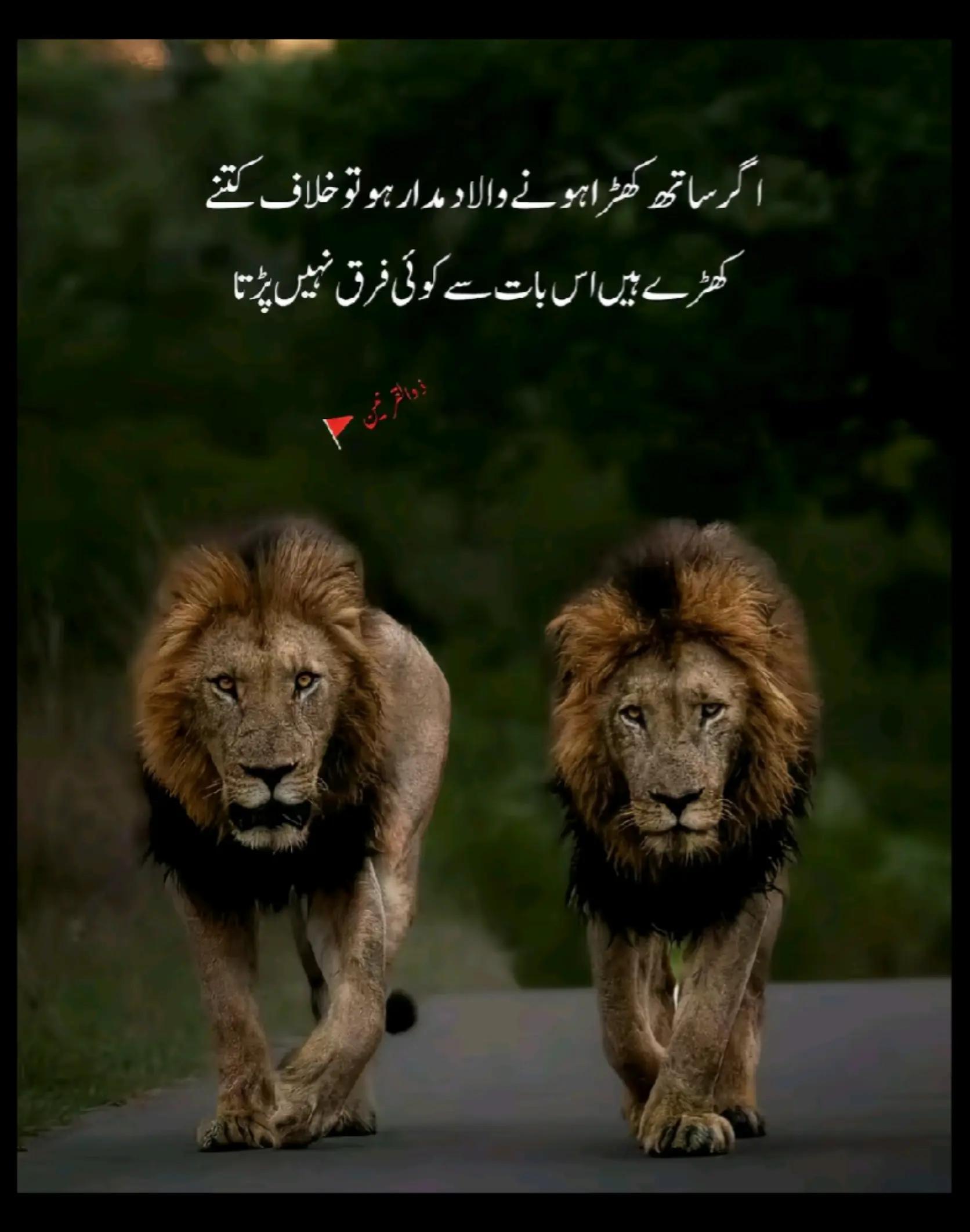 @HUSNAIN LANGRIYAL JATT👑