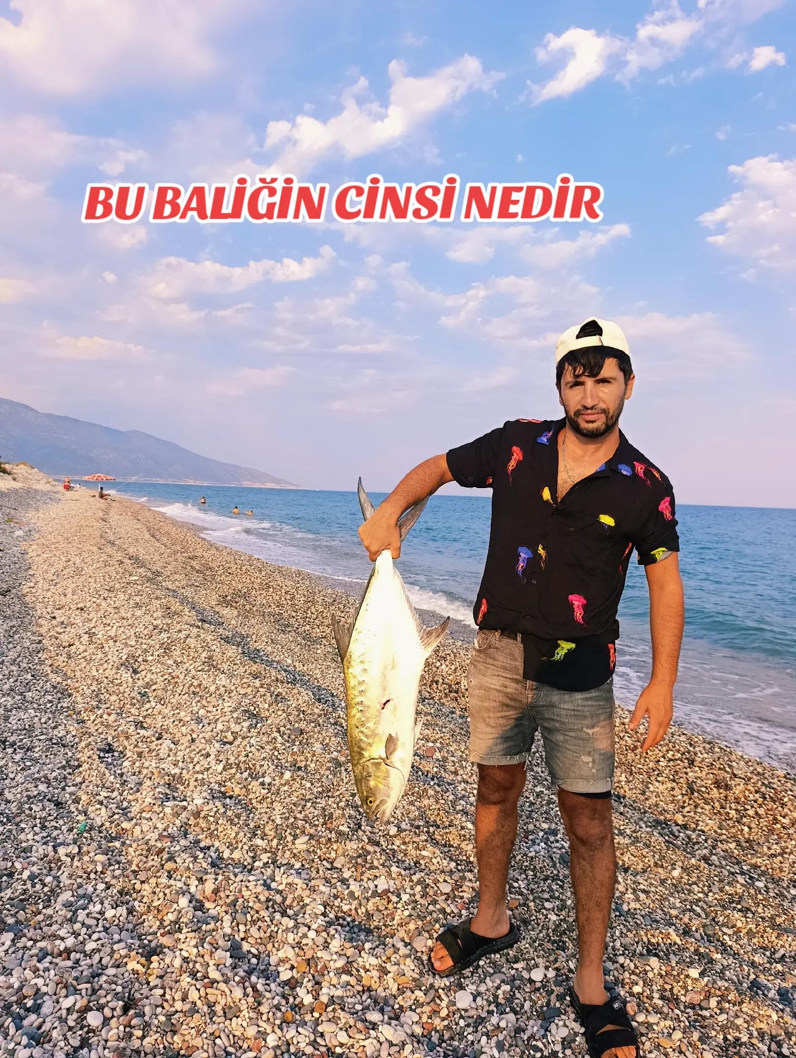 @HOROZCU CANE 🐓