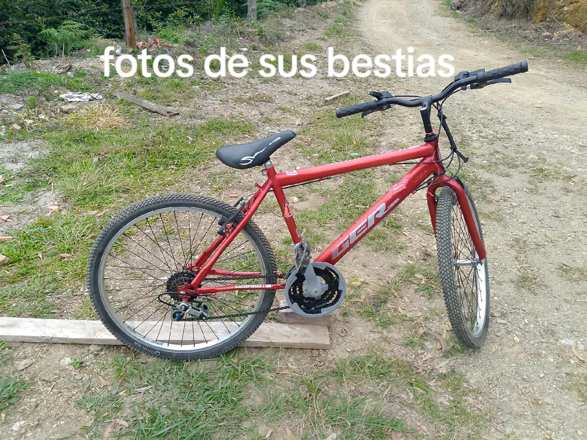 @isagiBS