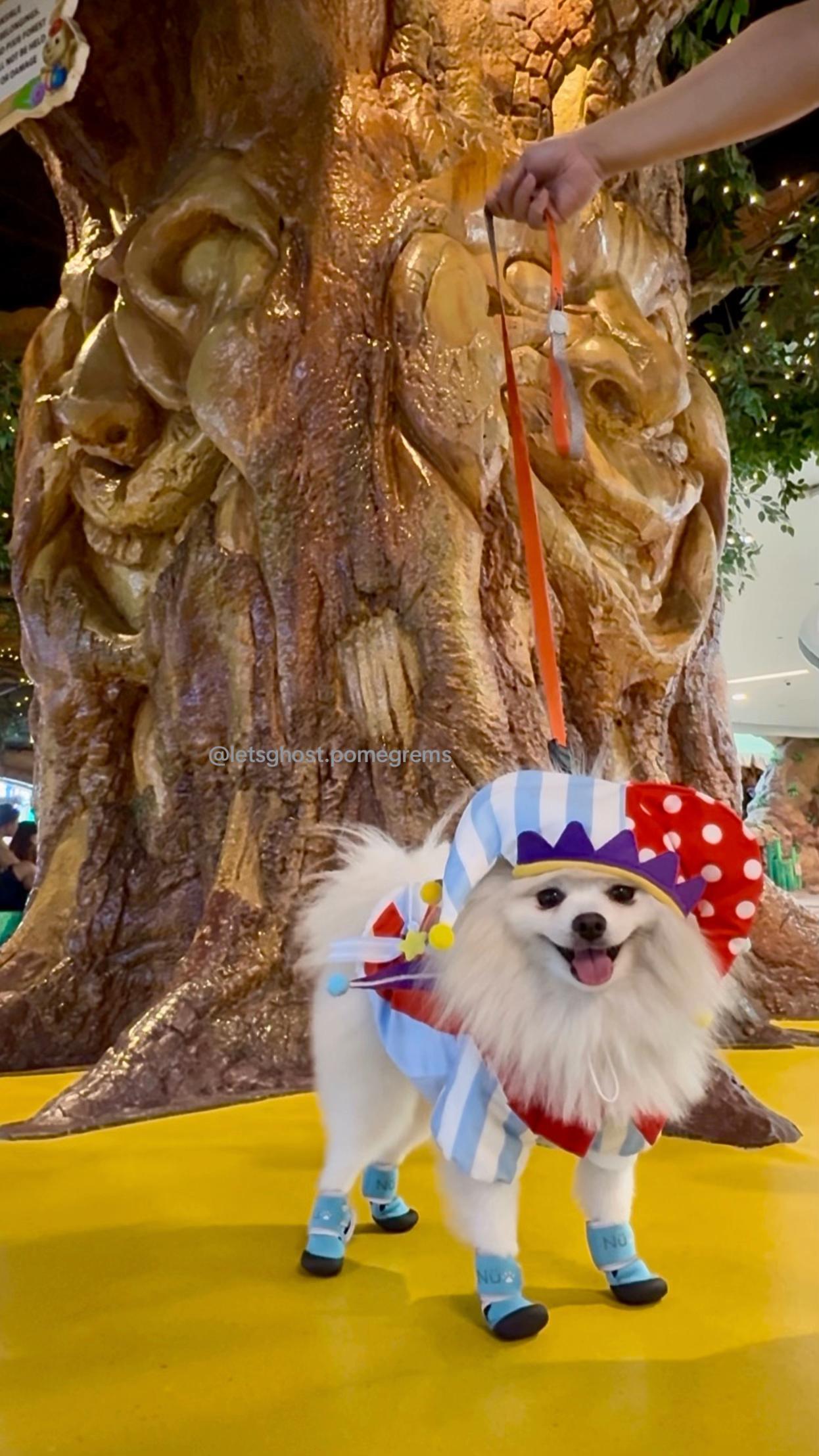 @G H O S T TheRunnerPom
