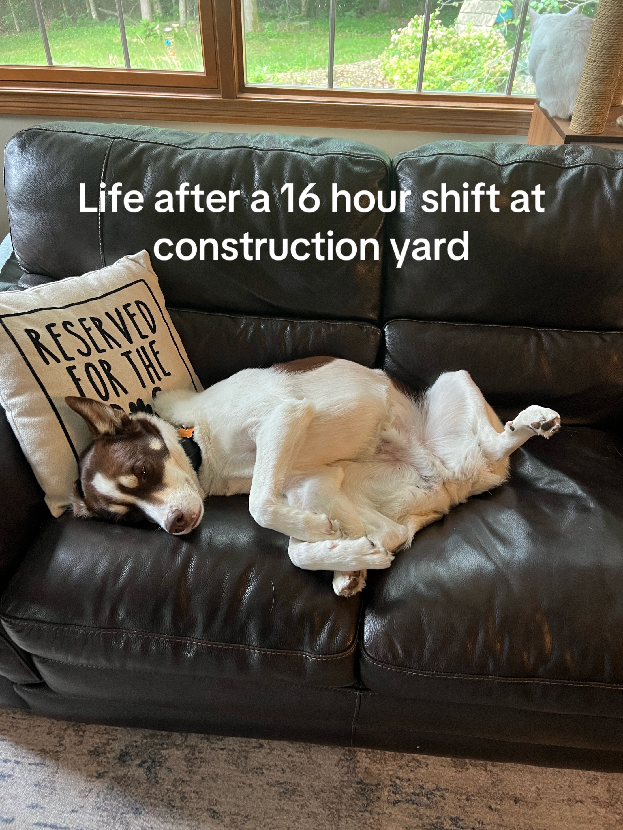 @Better Life Daily Tips- Attila