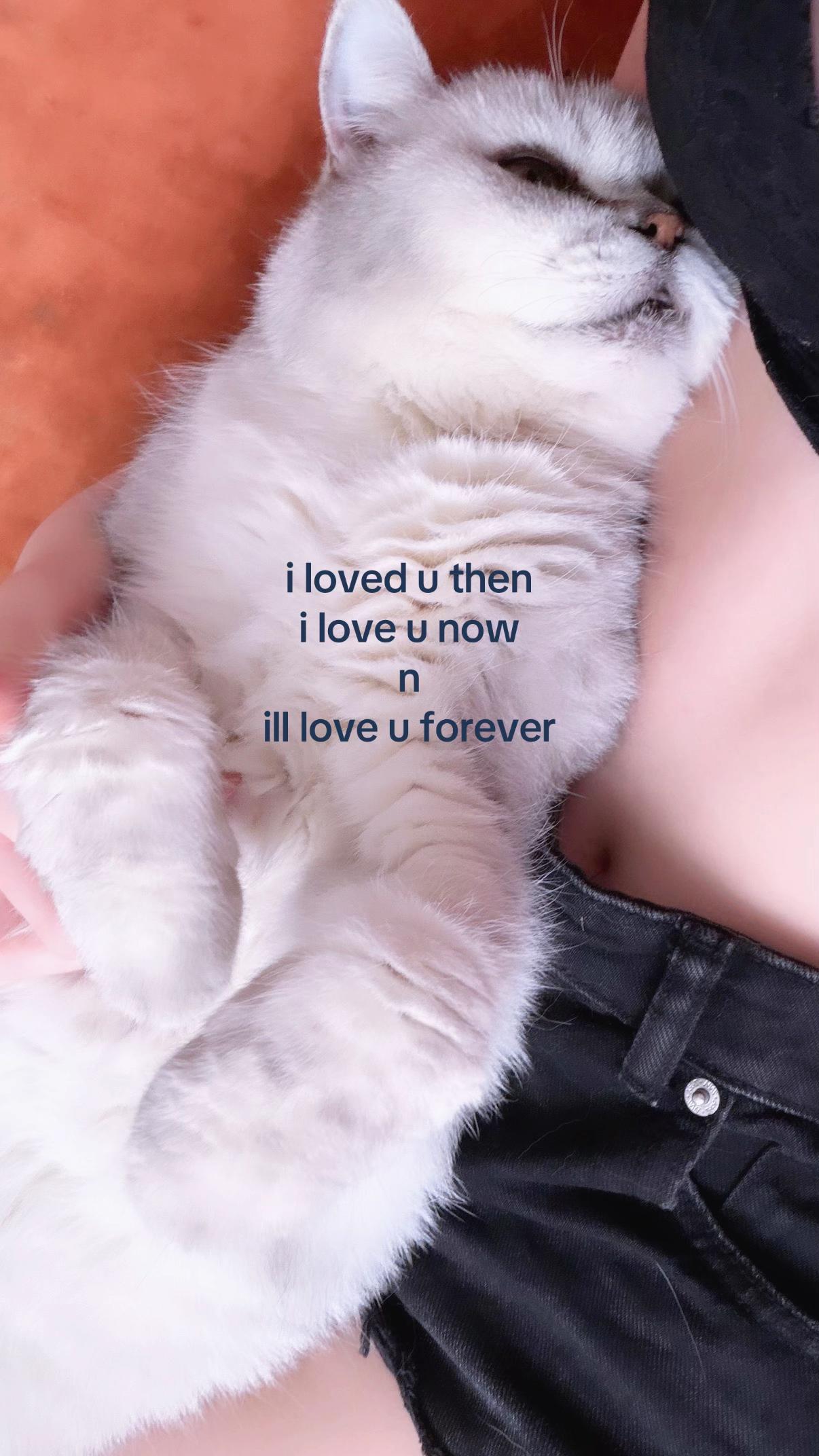 @𝓶𝓪𝓻𝓰𝓸