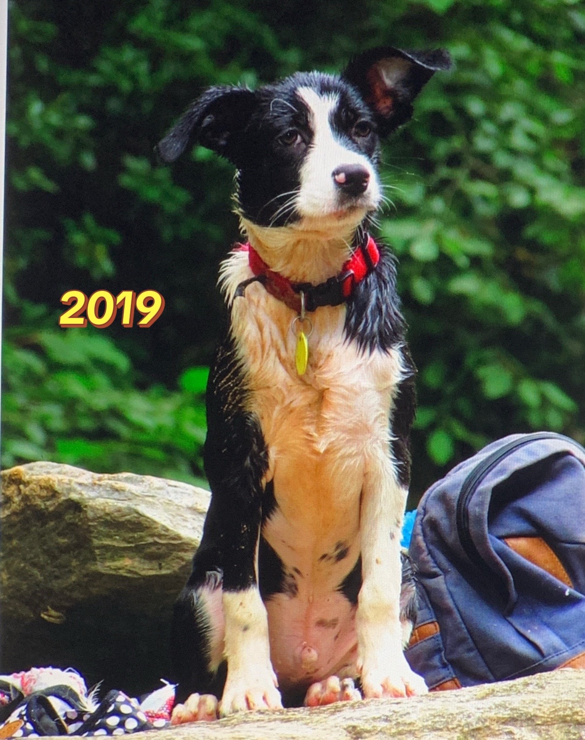 @Katia Amaya