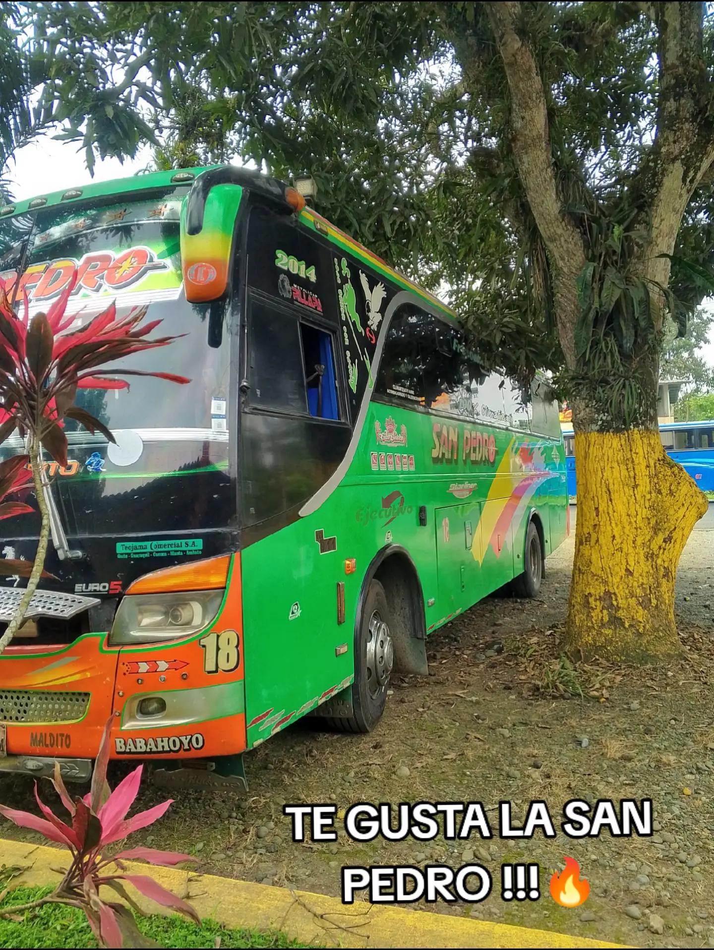 @negrita ng