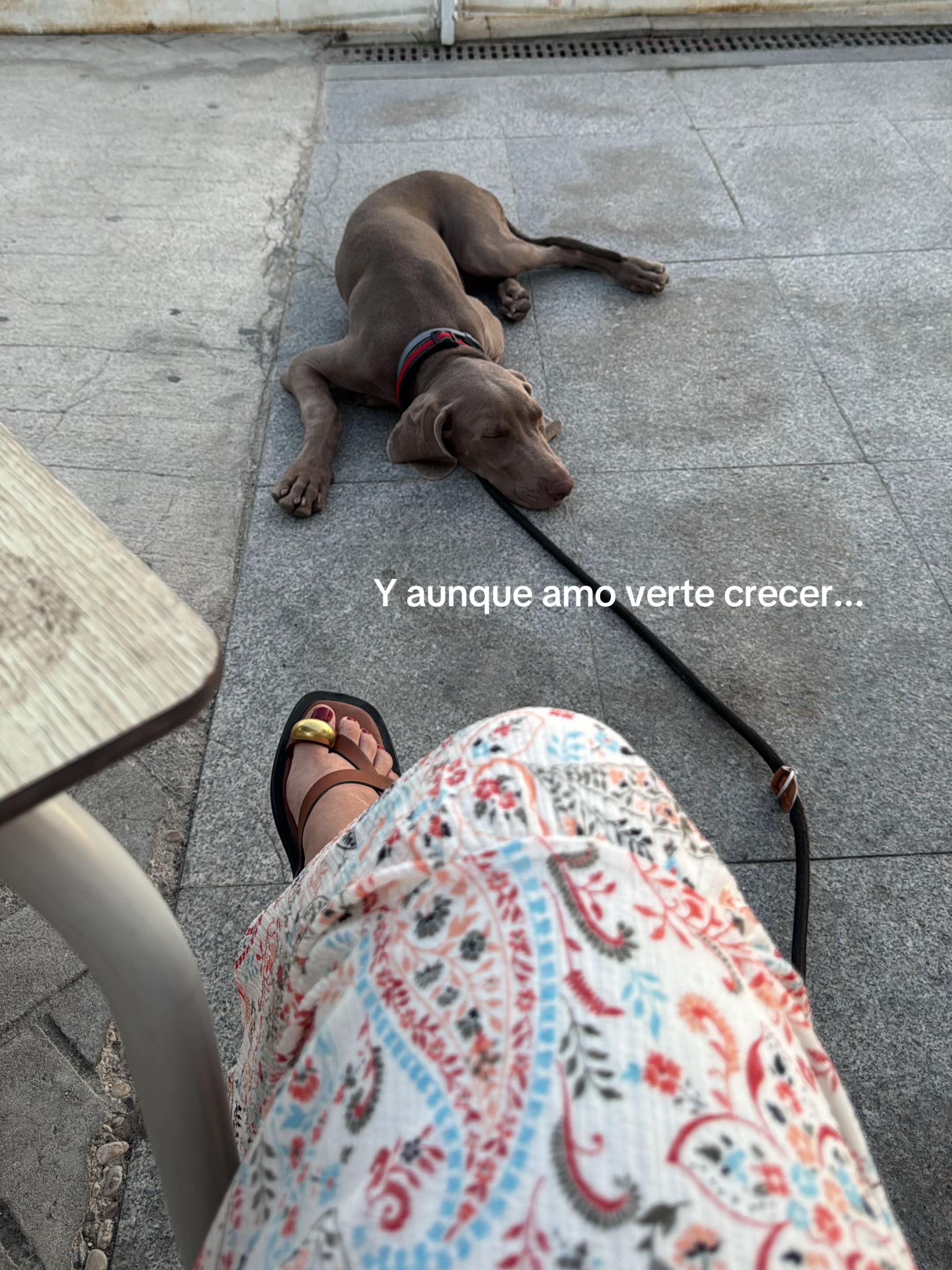 @luciasanchzsc17_
