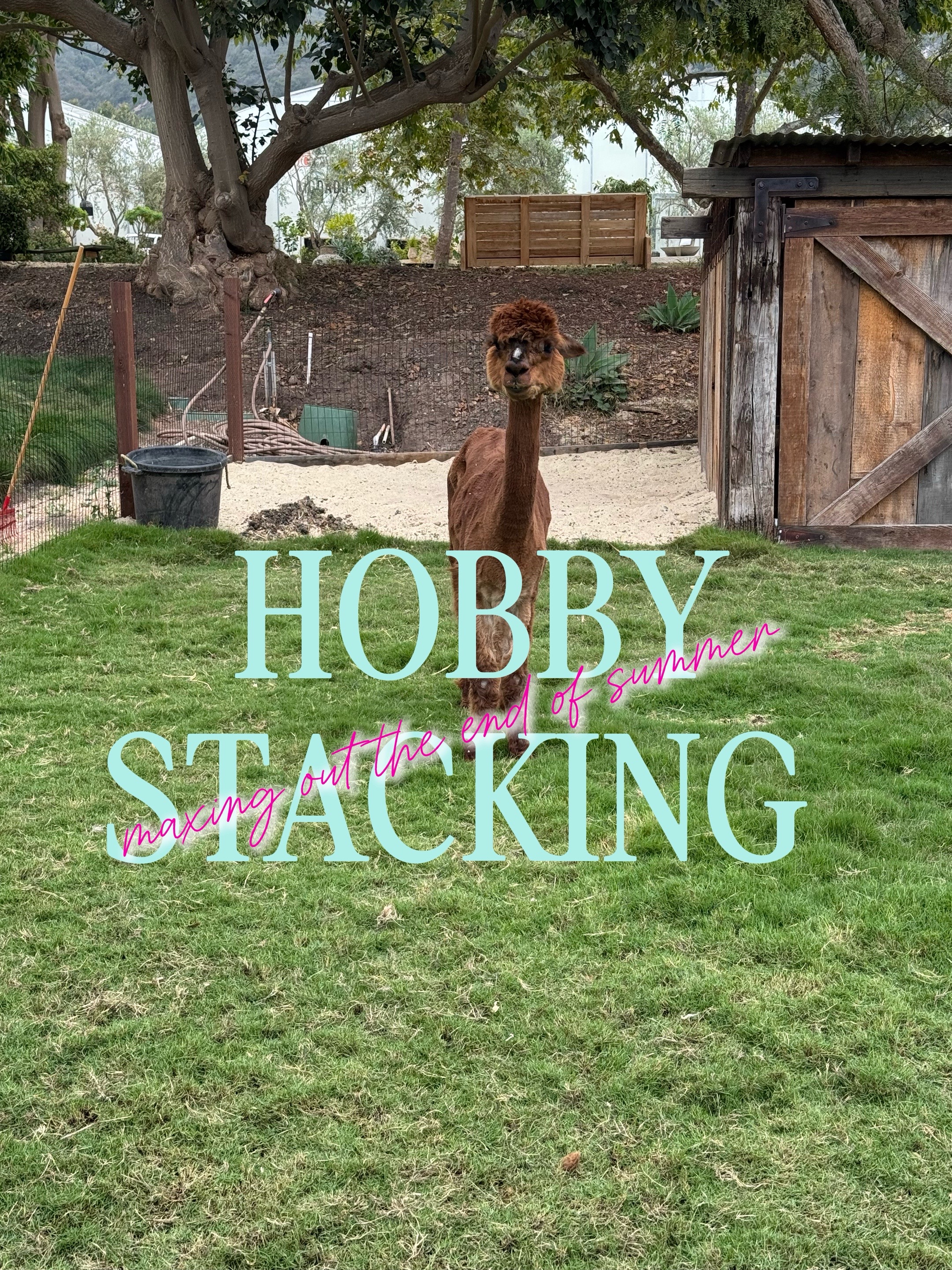 @EM Equestrian