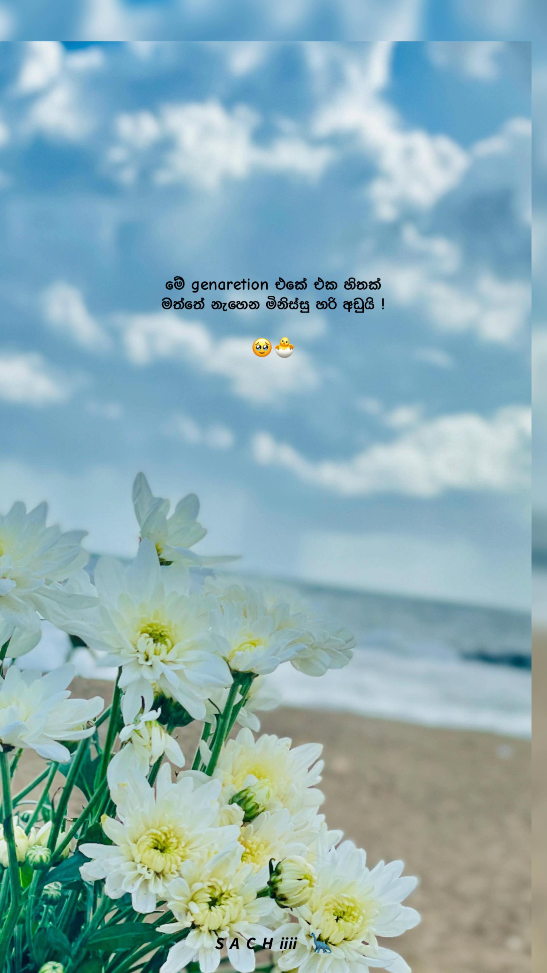 @𝙎 𝘼 𝘾 𝙃 𝙞𝙞𝙞𝙞 🦕