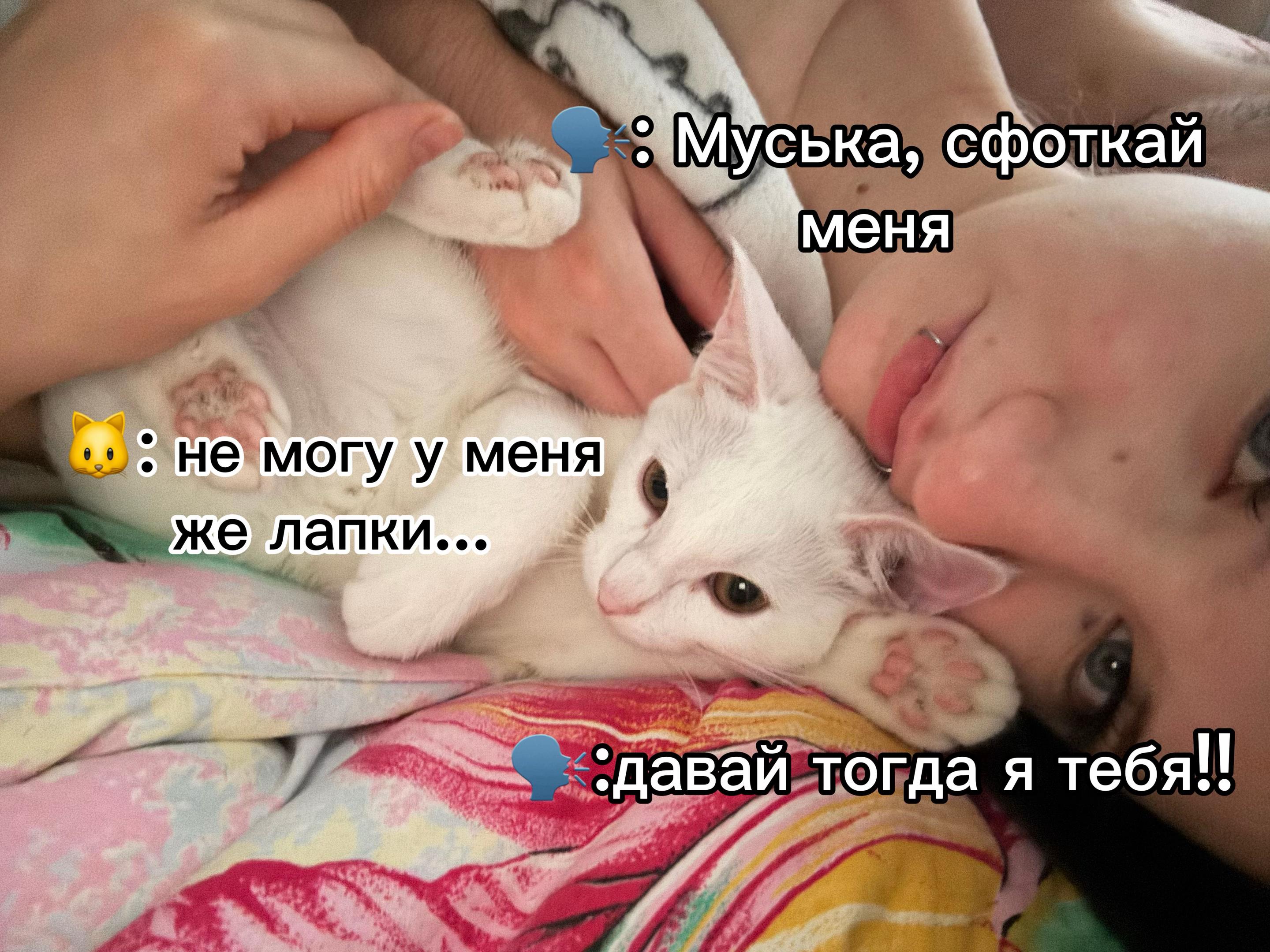 @Дирси?