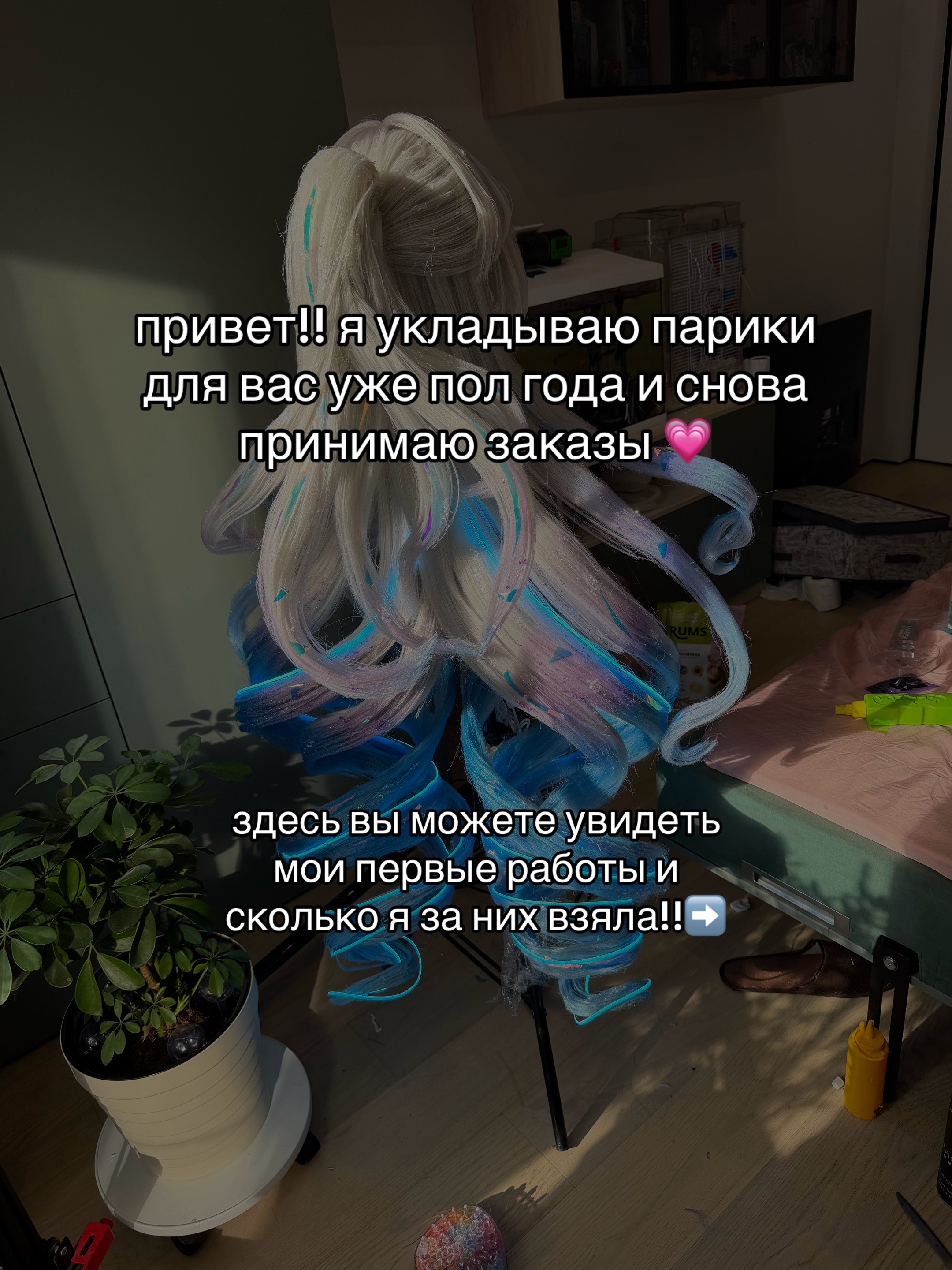@тгк vivien & meowmulia˚✧₊