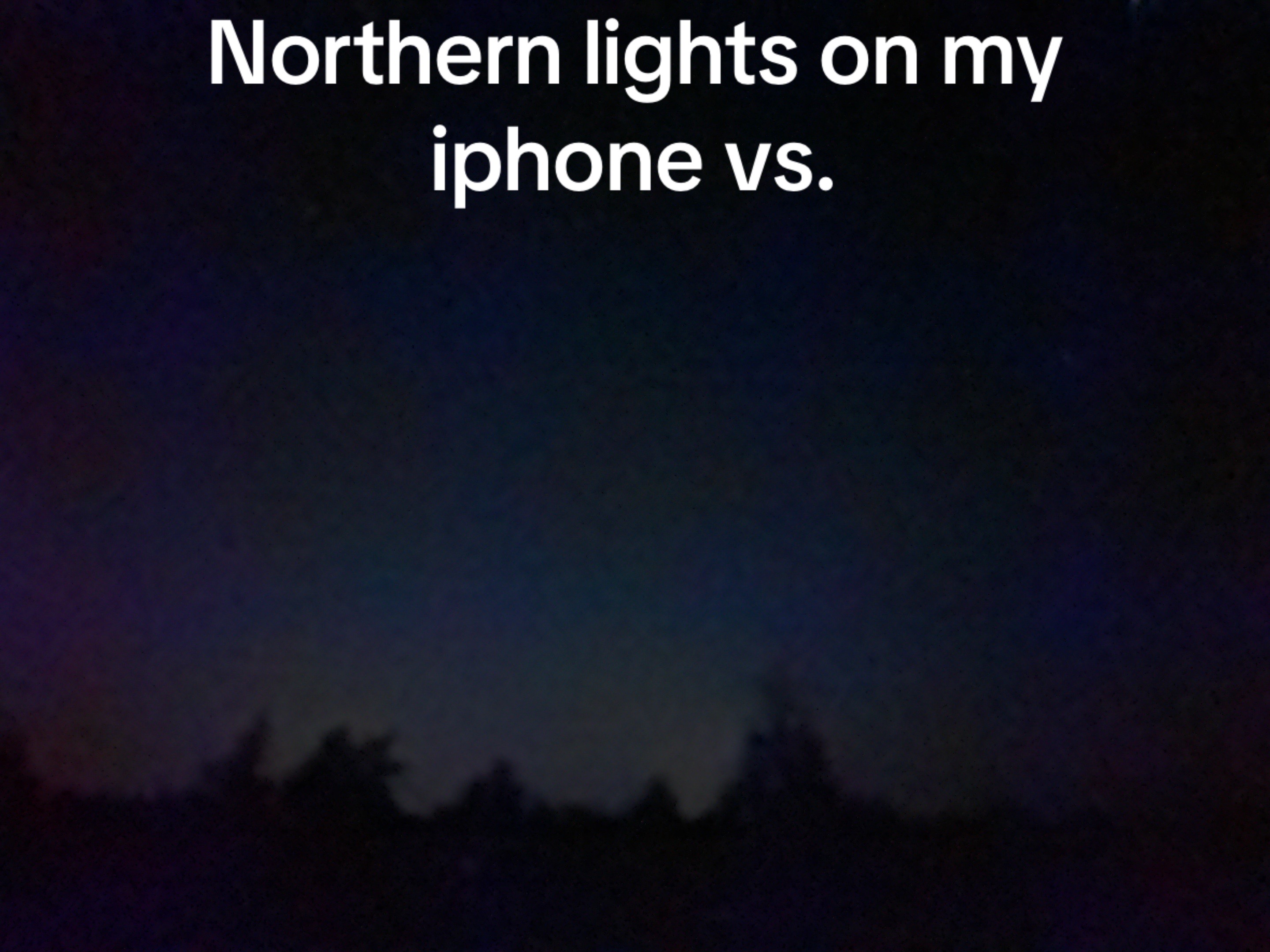 @PNW Photo + Film ๐ฒ๐ธ๐๏ธ