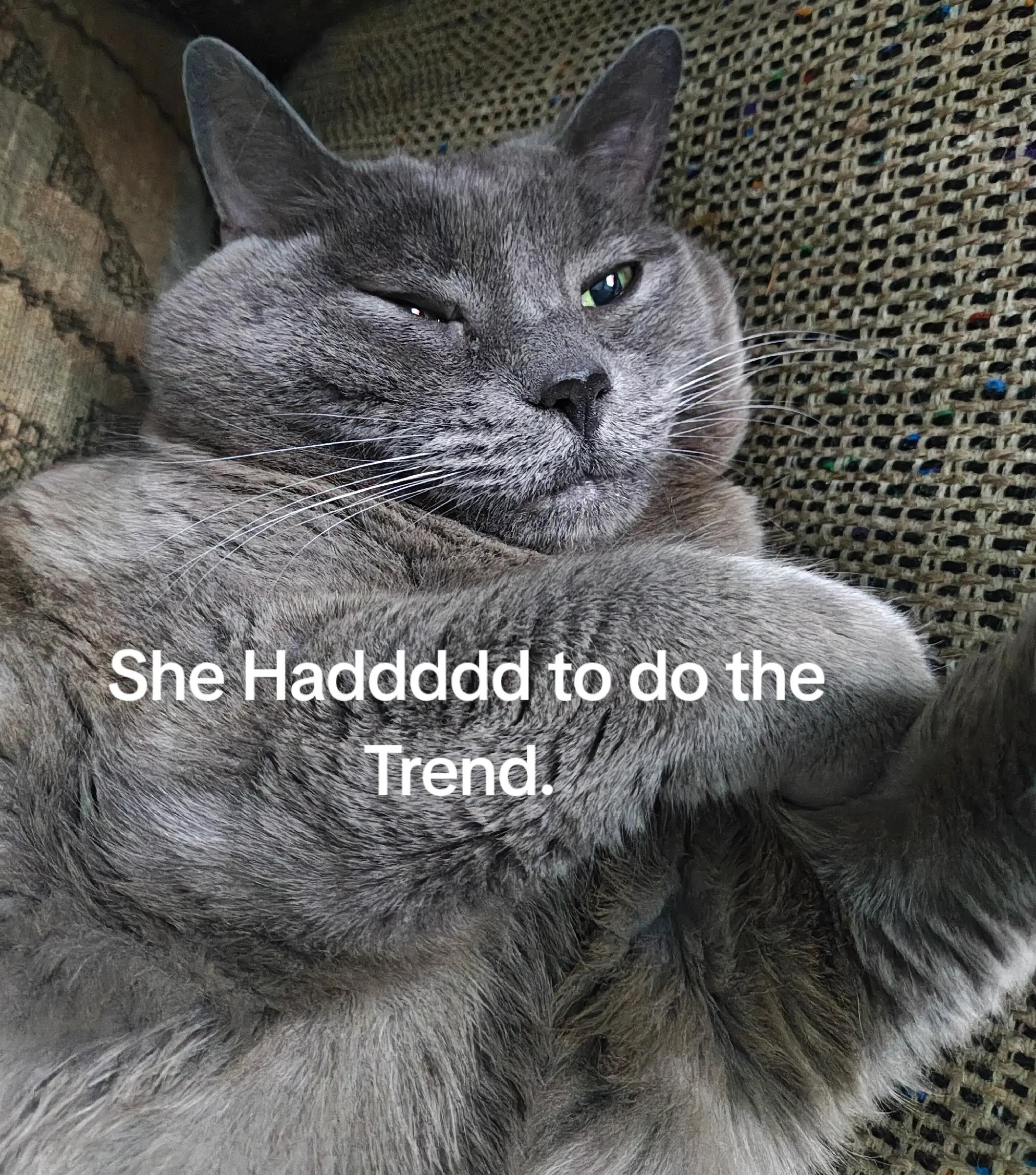 @Nacho_Kitty_Kat