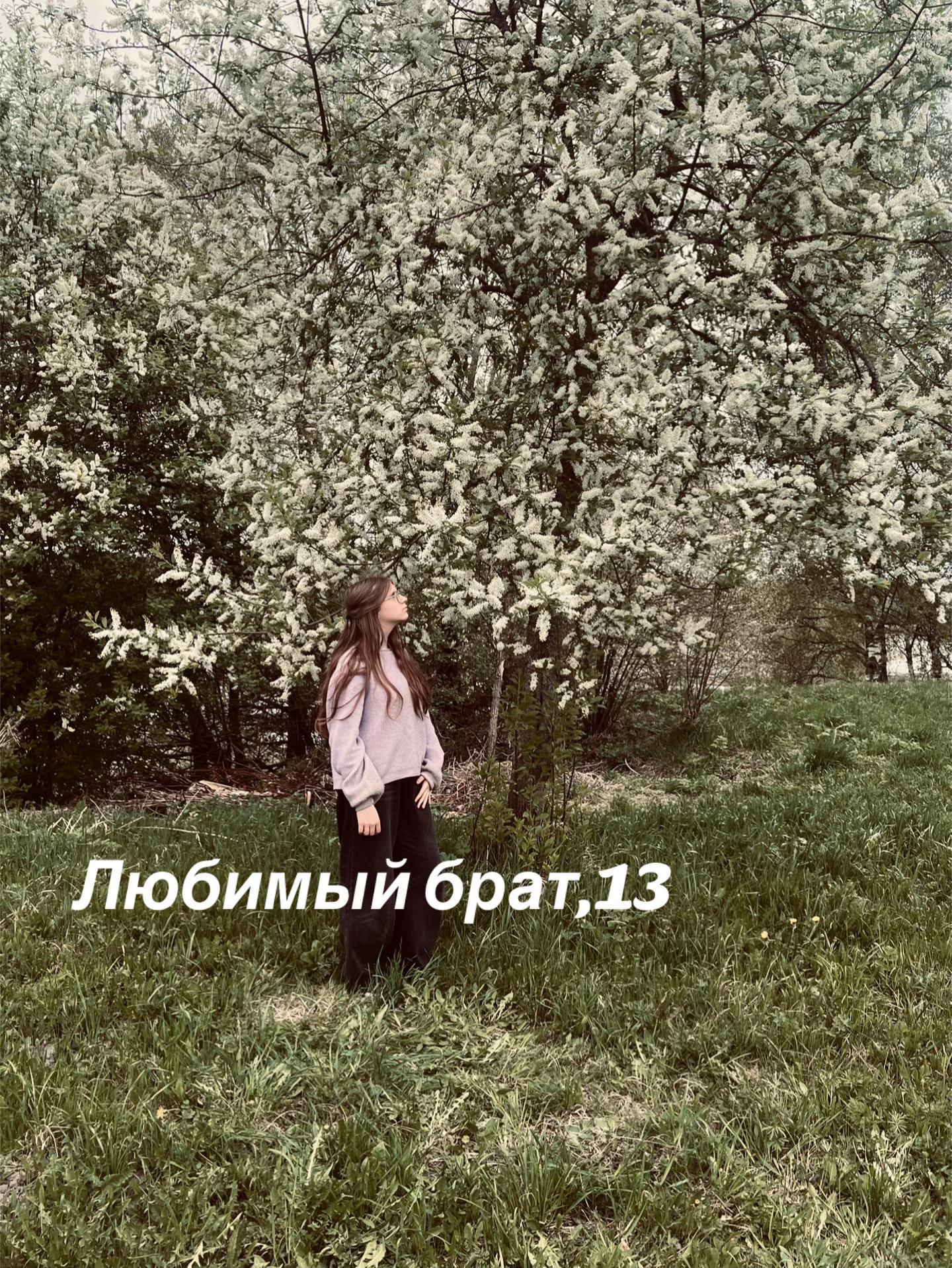 @QwgiigwQ