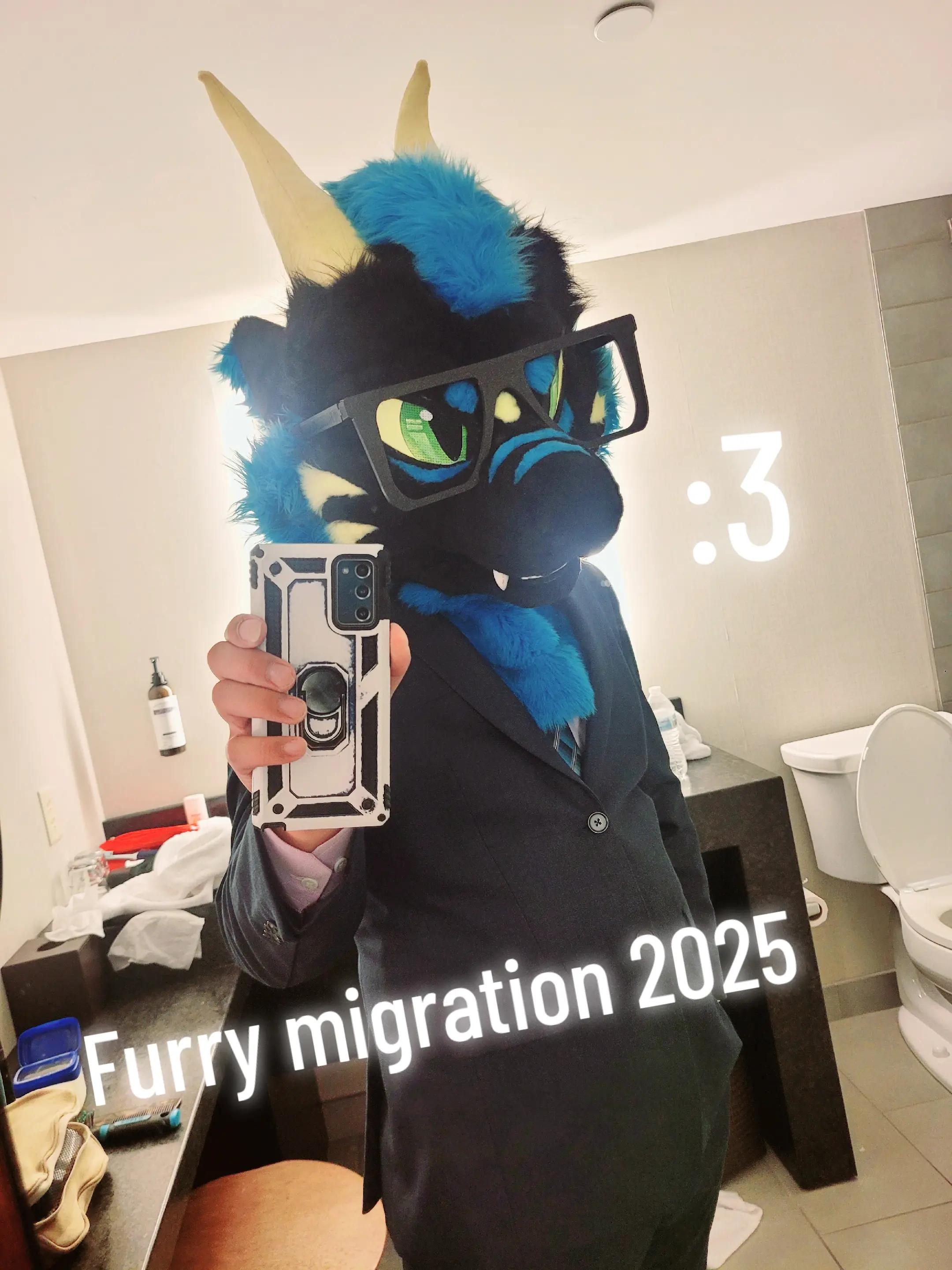 @zefyren