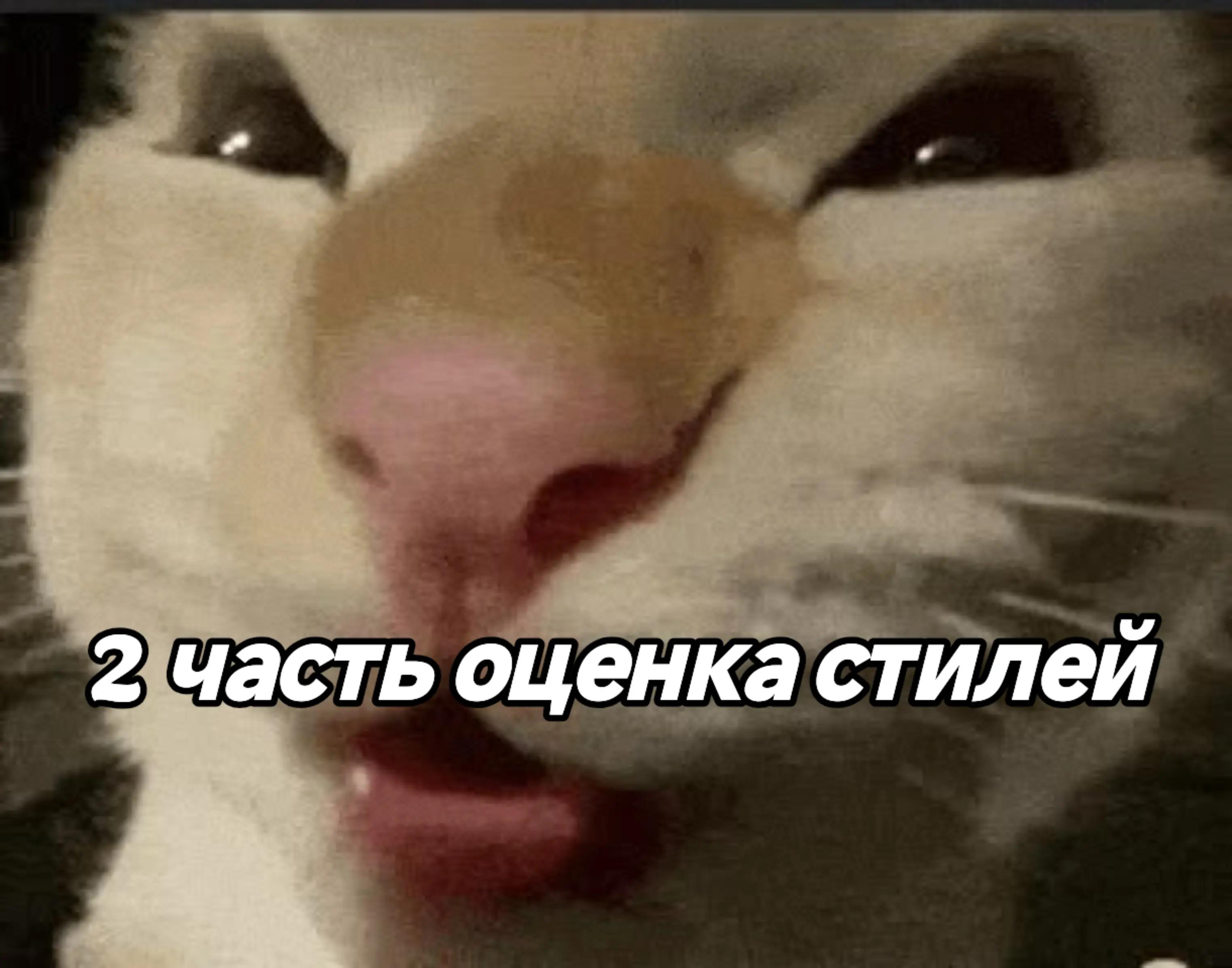 @сяо мяо🍭