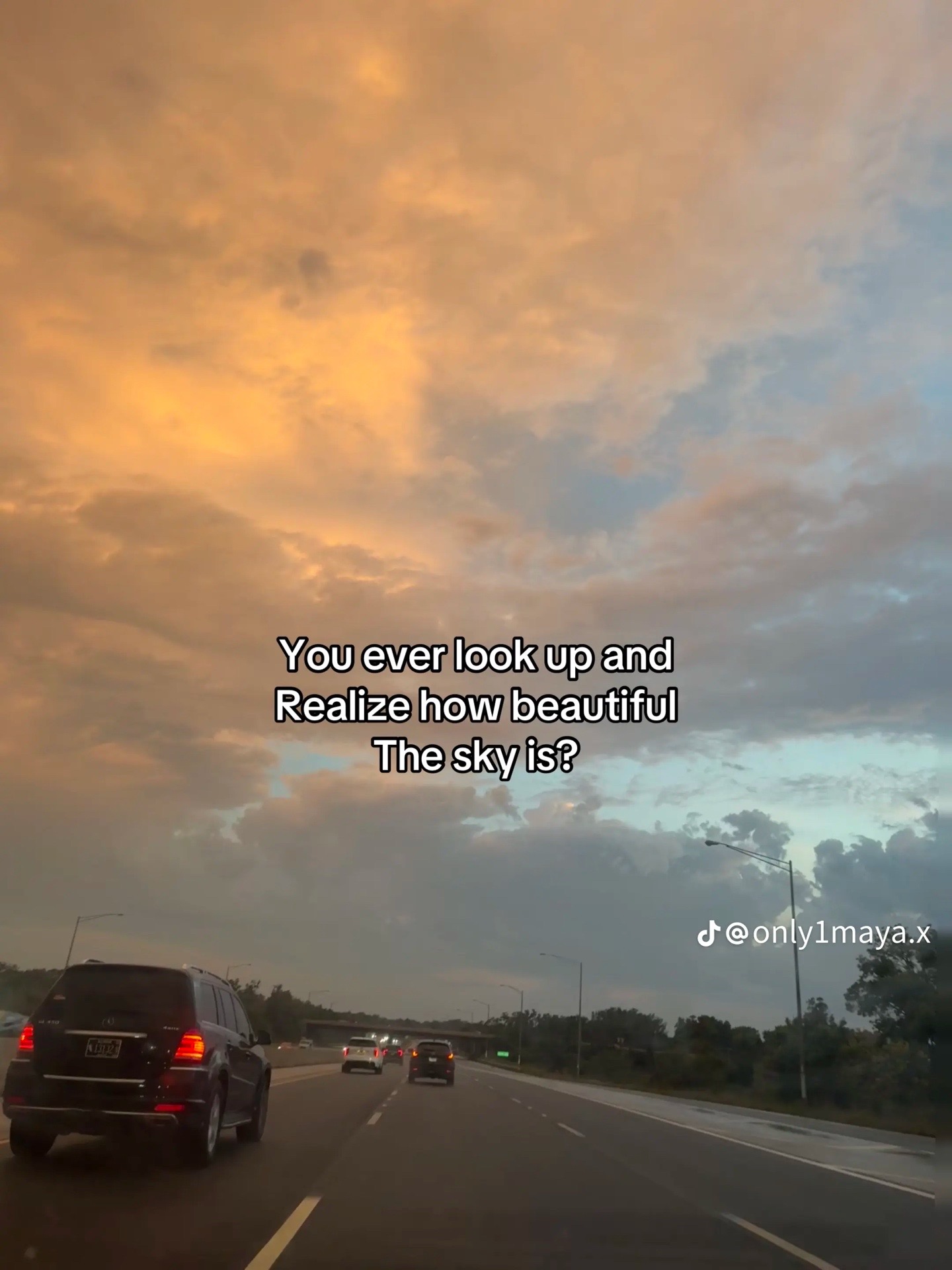 @ミ★ 𝘵𝘩𝘦𝘺<3𝘔𝘢𝘳𝘤𝘢𝘭𝘢 ★彡