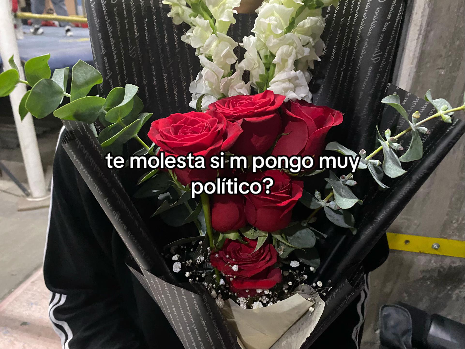 @Aler🐼