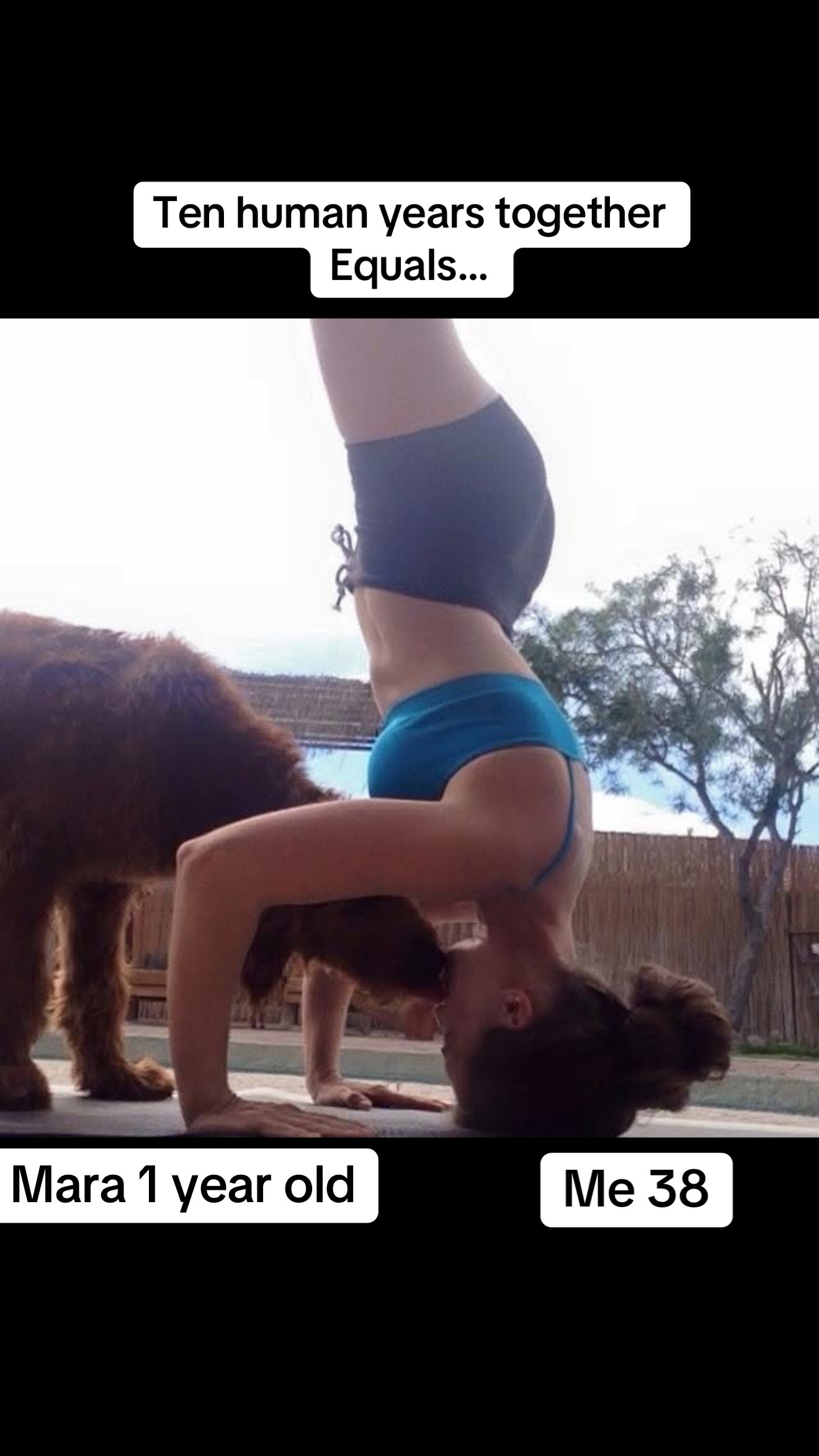 @mollys_mom_does_yoga