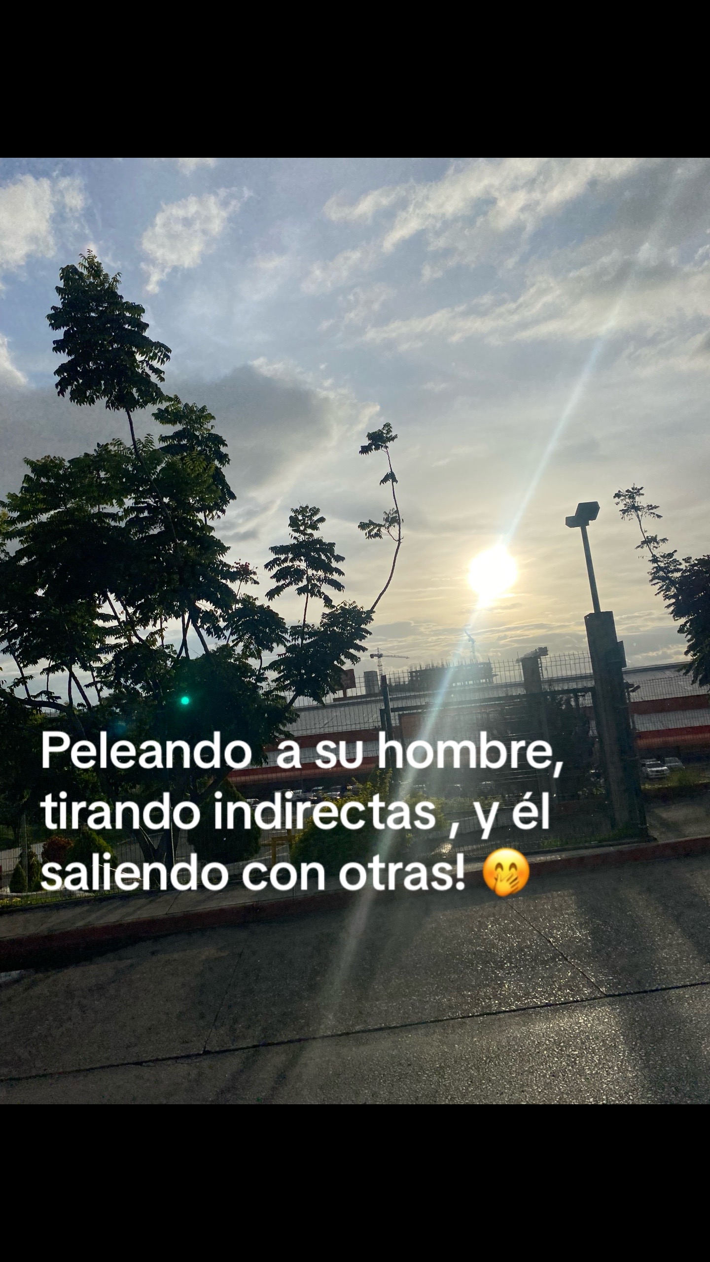 @Karen 🐢