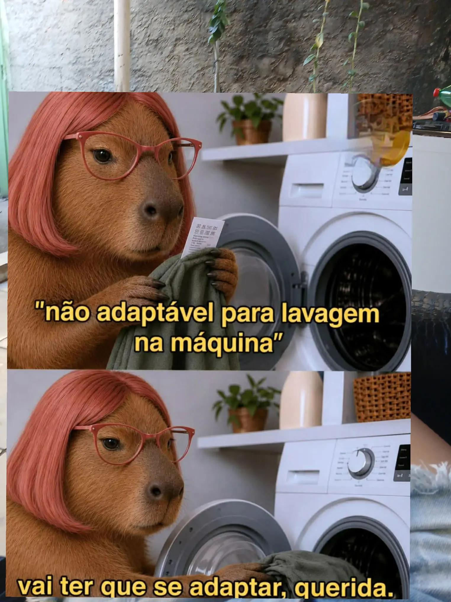 @Celiane