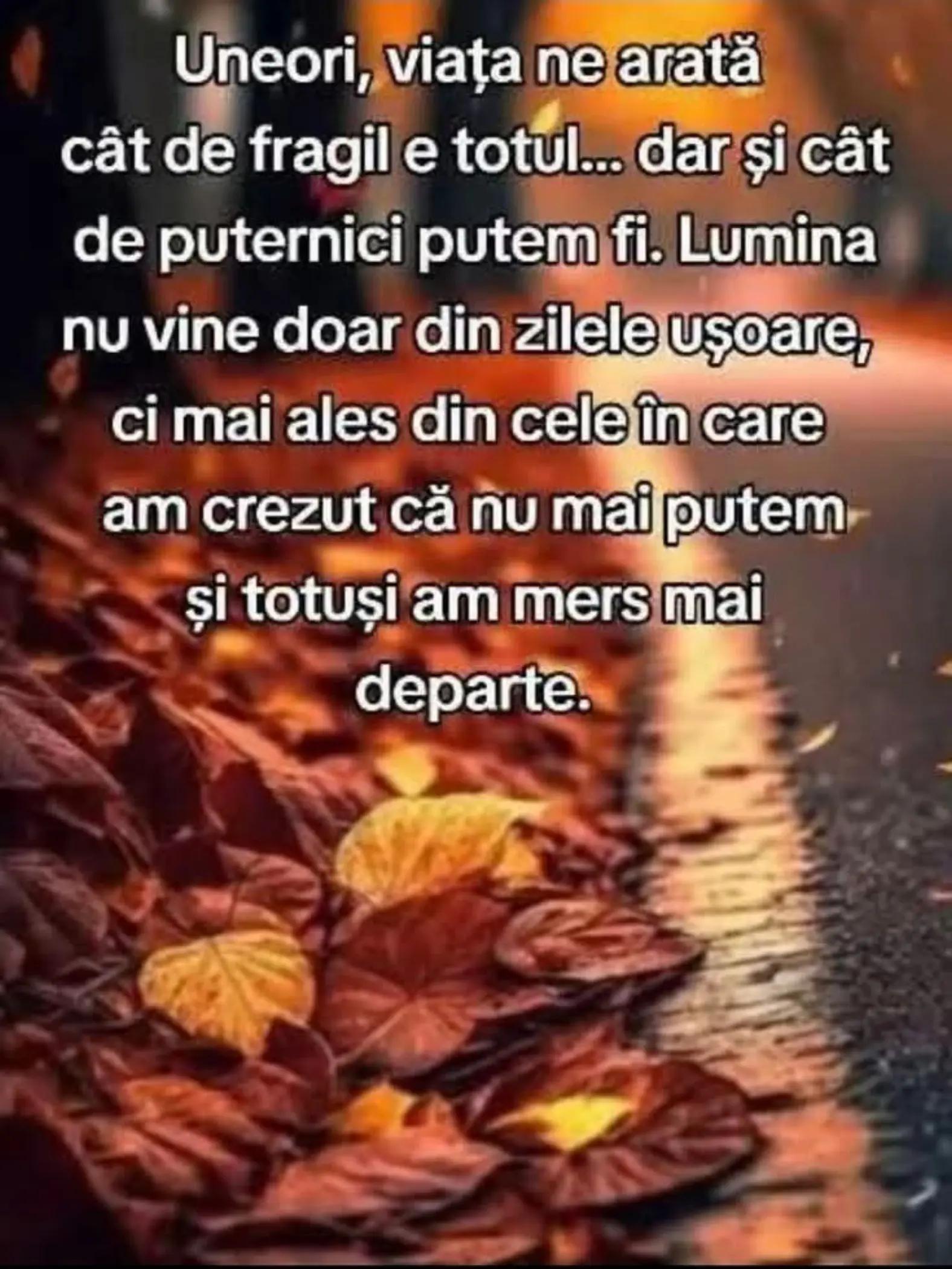 @Filofteia Alexandru