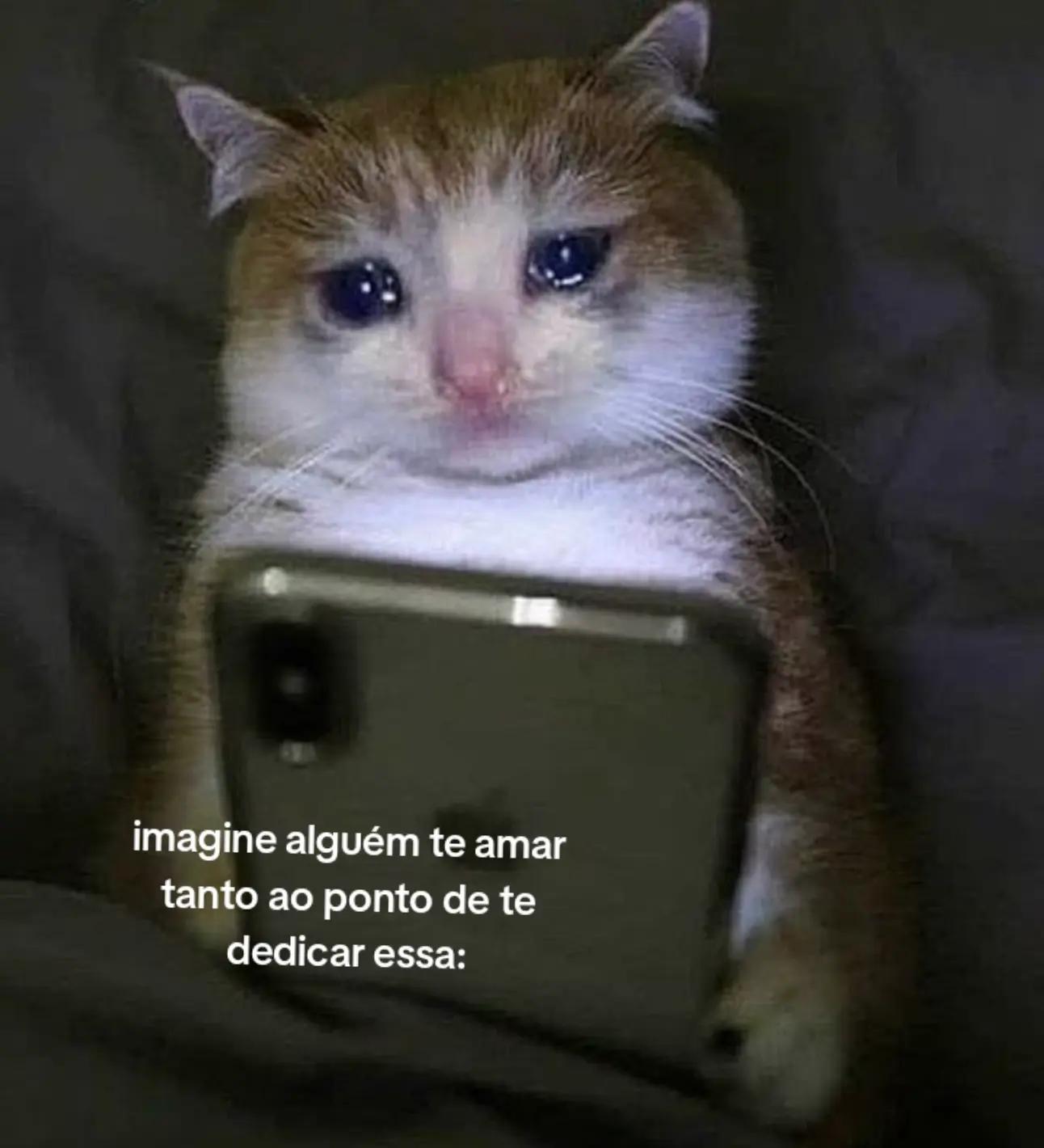 @estrelinha ⭐