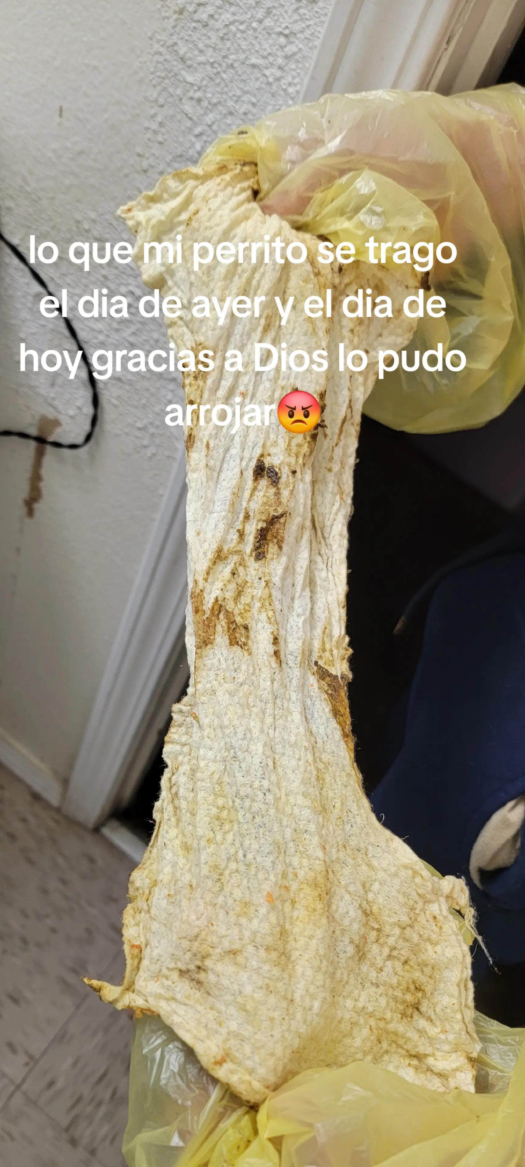 @chaparritadeortiz777
