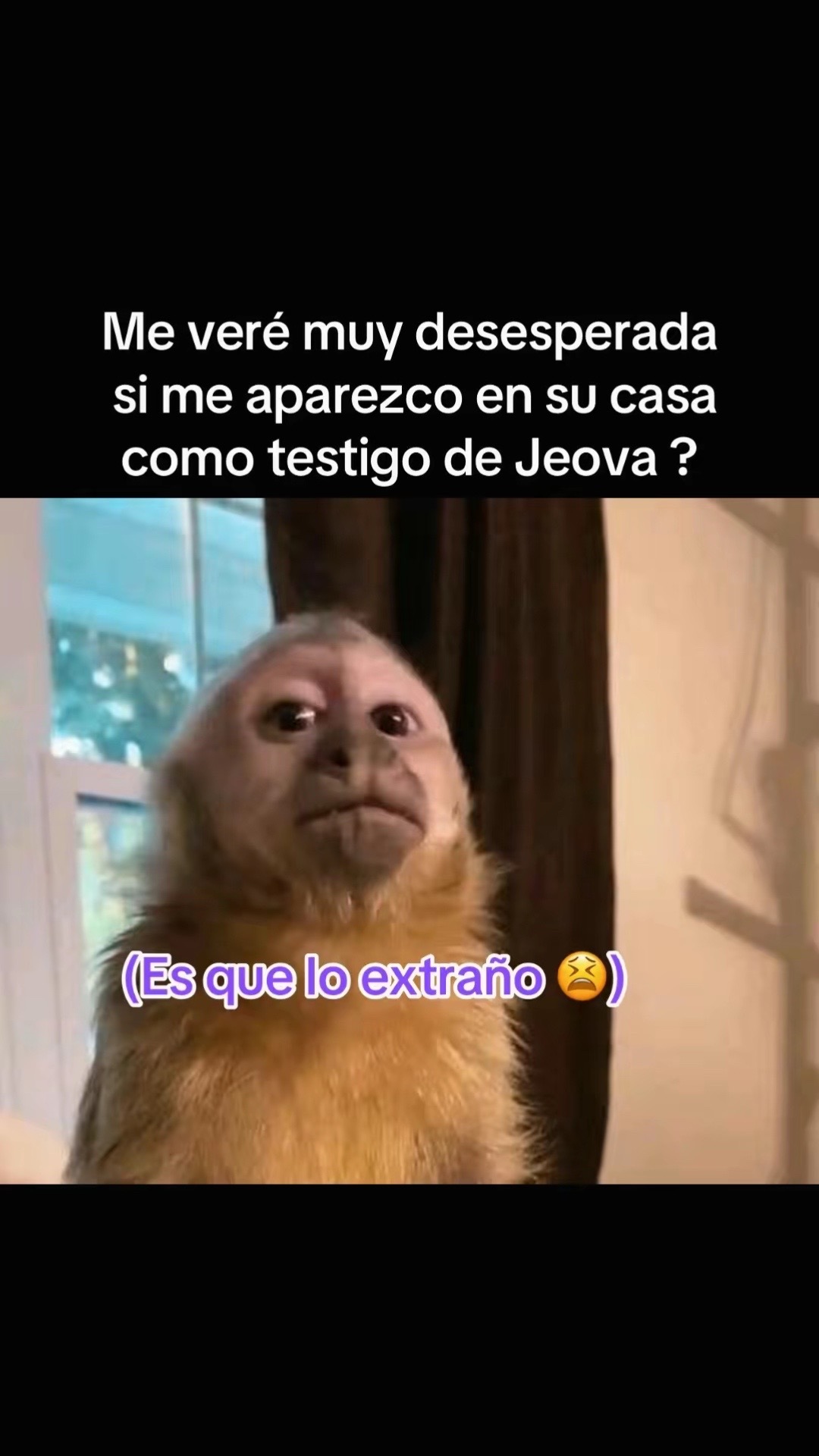 @💜🇭🇳🍫Chocolatito🍫🇭🇳💜
