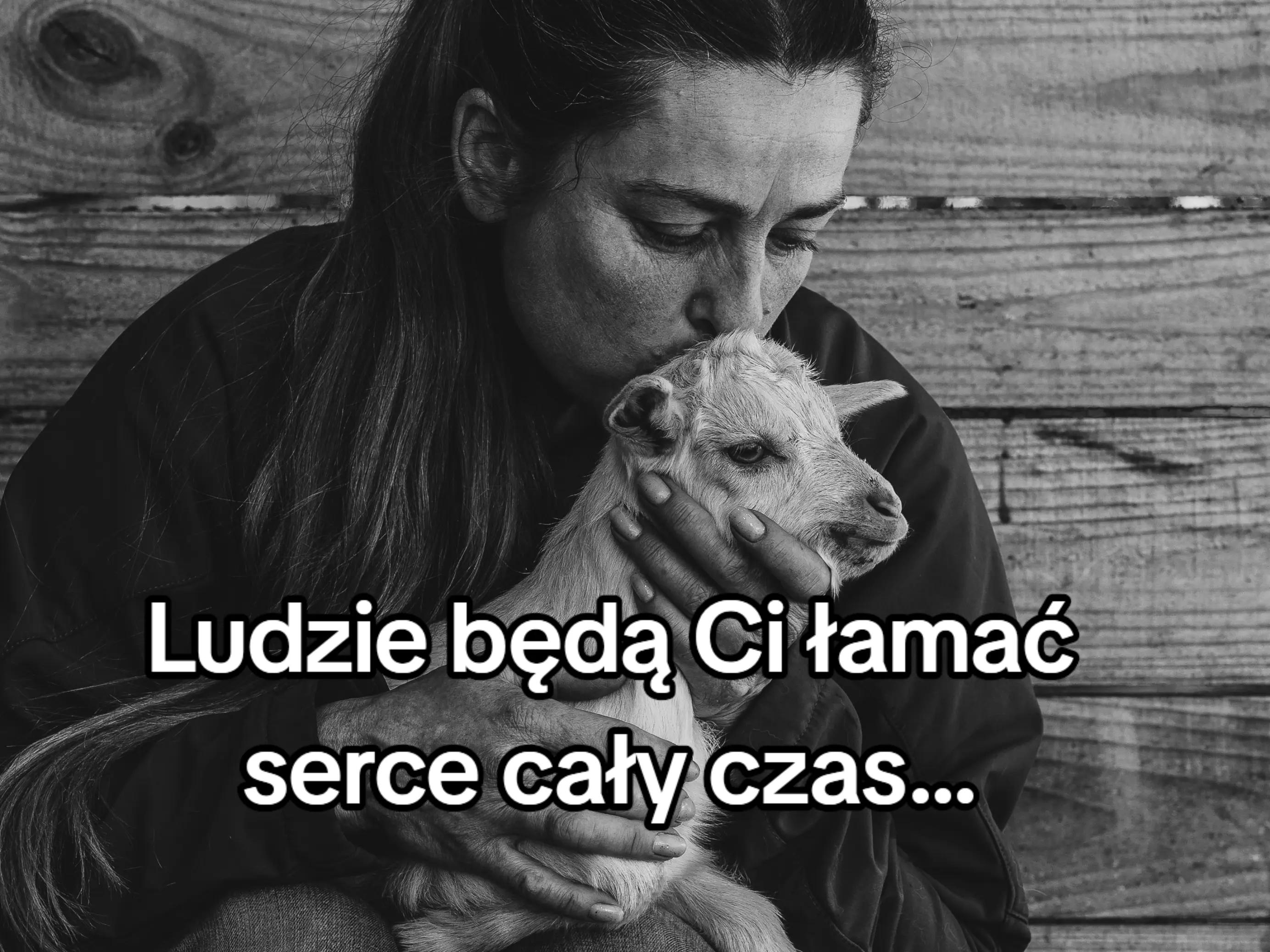 @Makowa Koza - sery z Kociewia