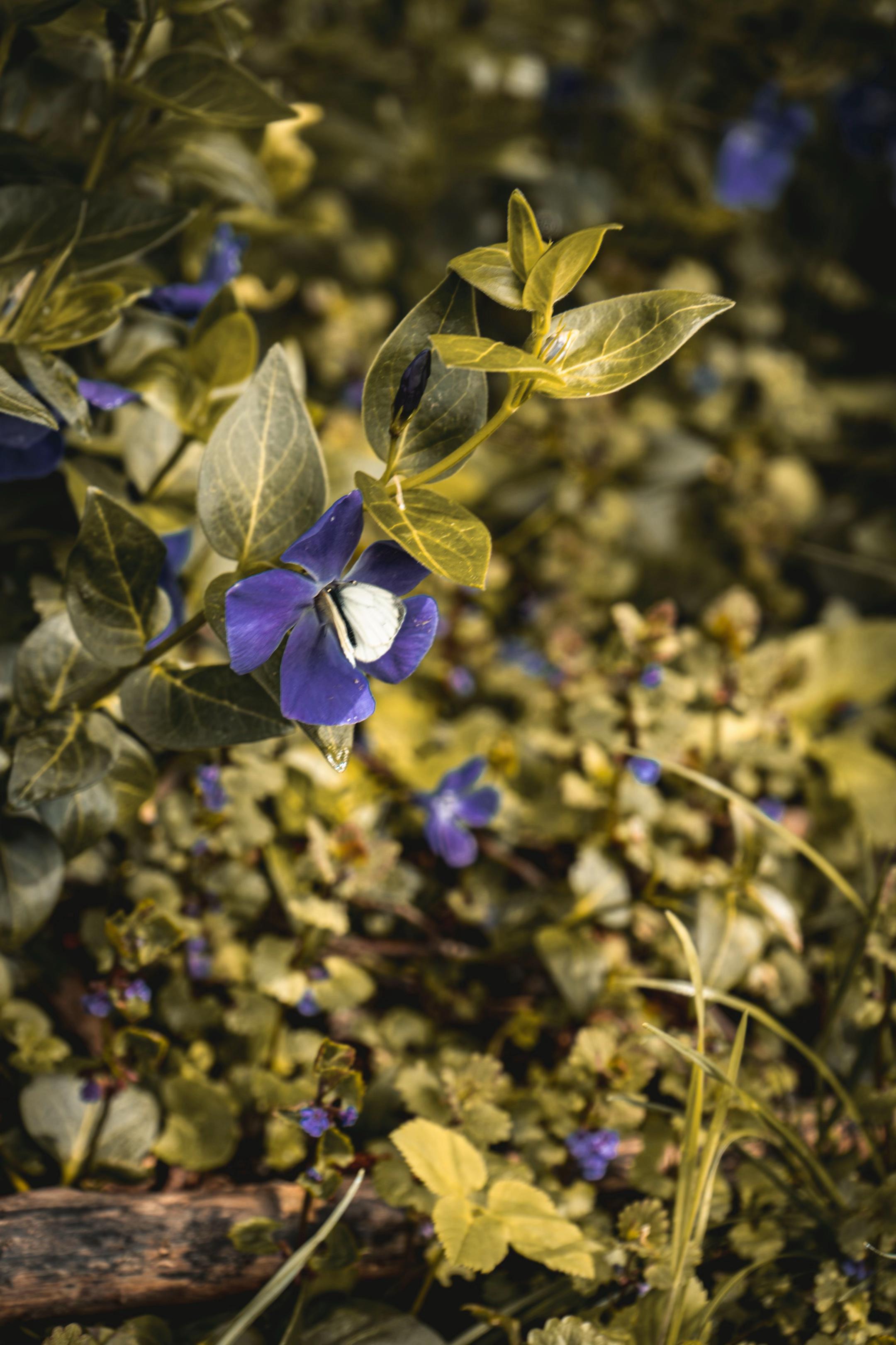 @Andreea Photography ๐ท๐ผ