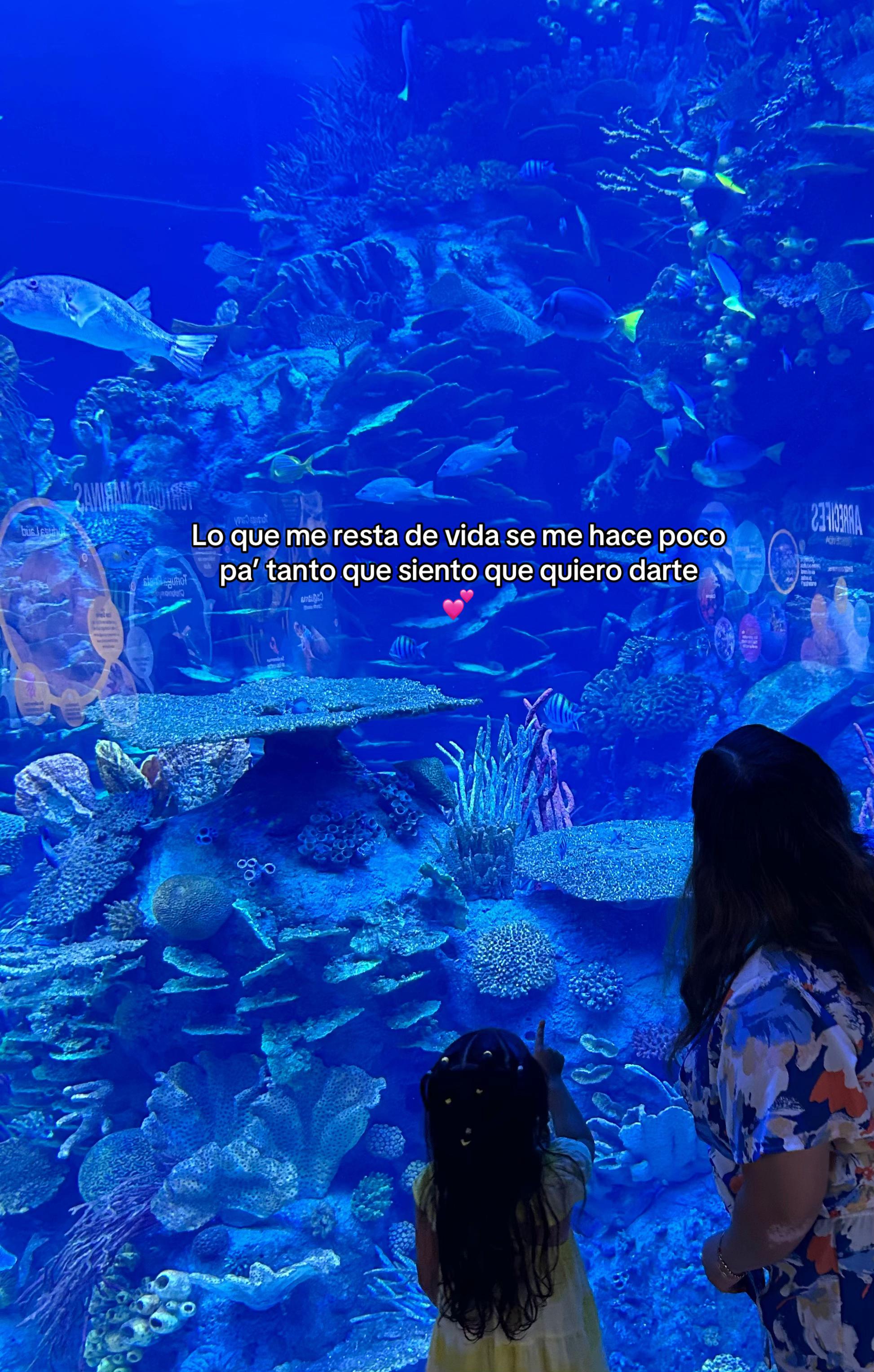 @💖