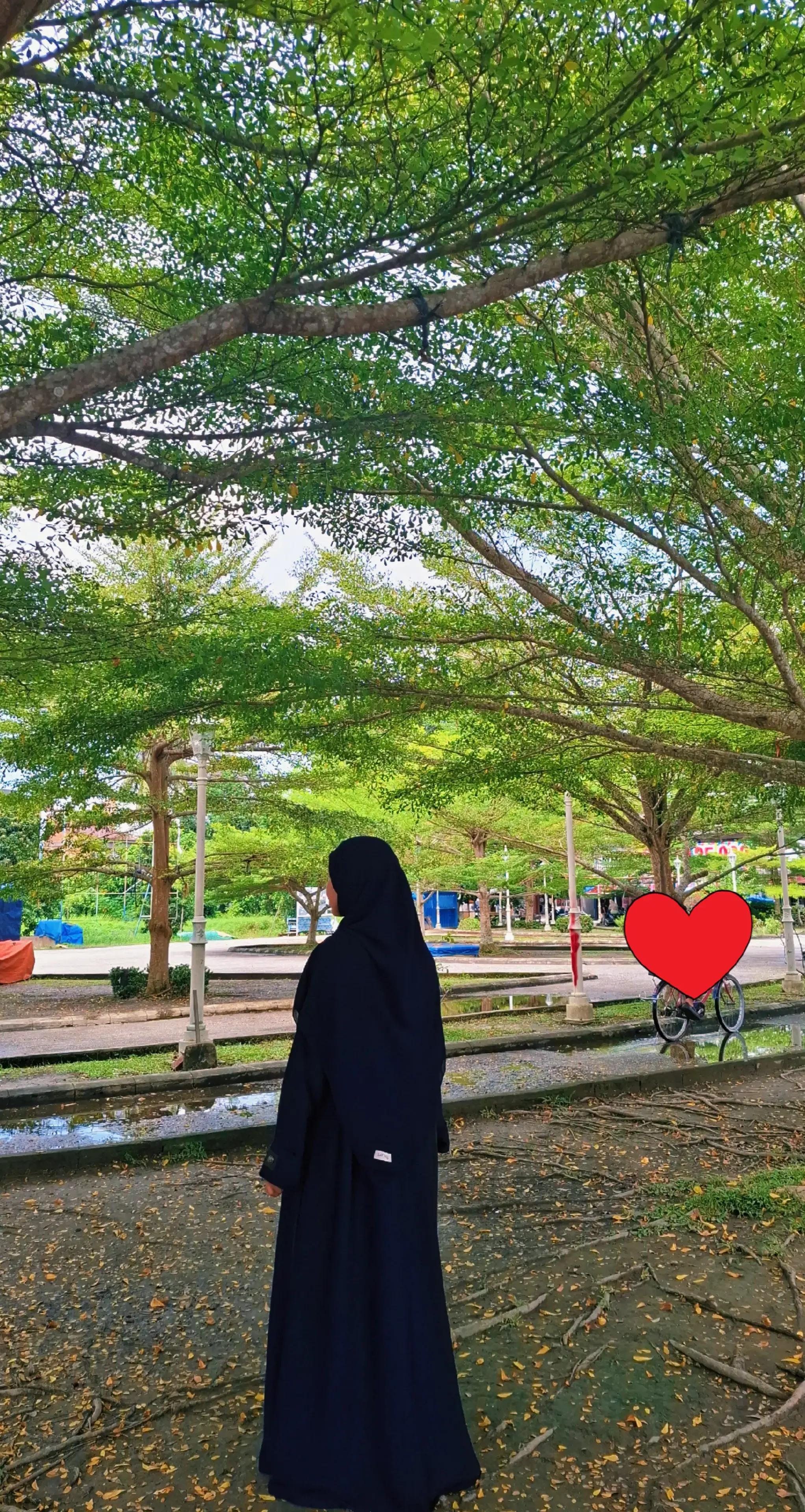 @kaanovv