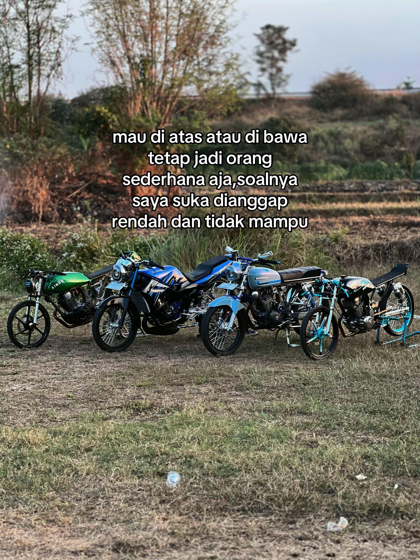@alif_mdf
