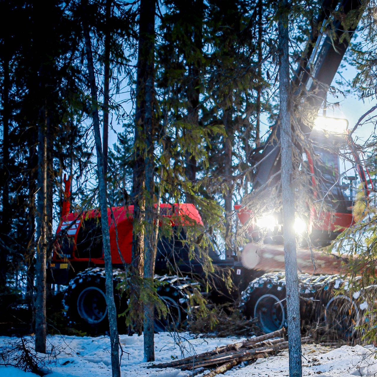 @𝕂𝕒𝕣𝕜𝕜𝕚𝕟𝕒𝕚𝕟𝕖𝕟