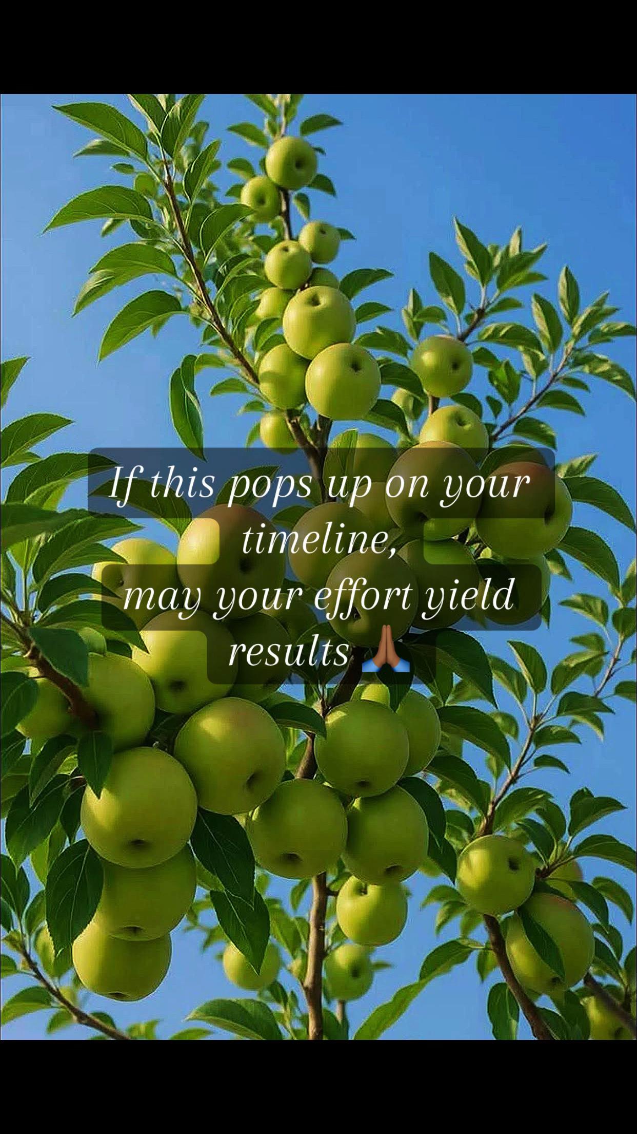 @Automation Expert