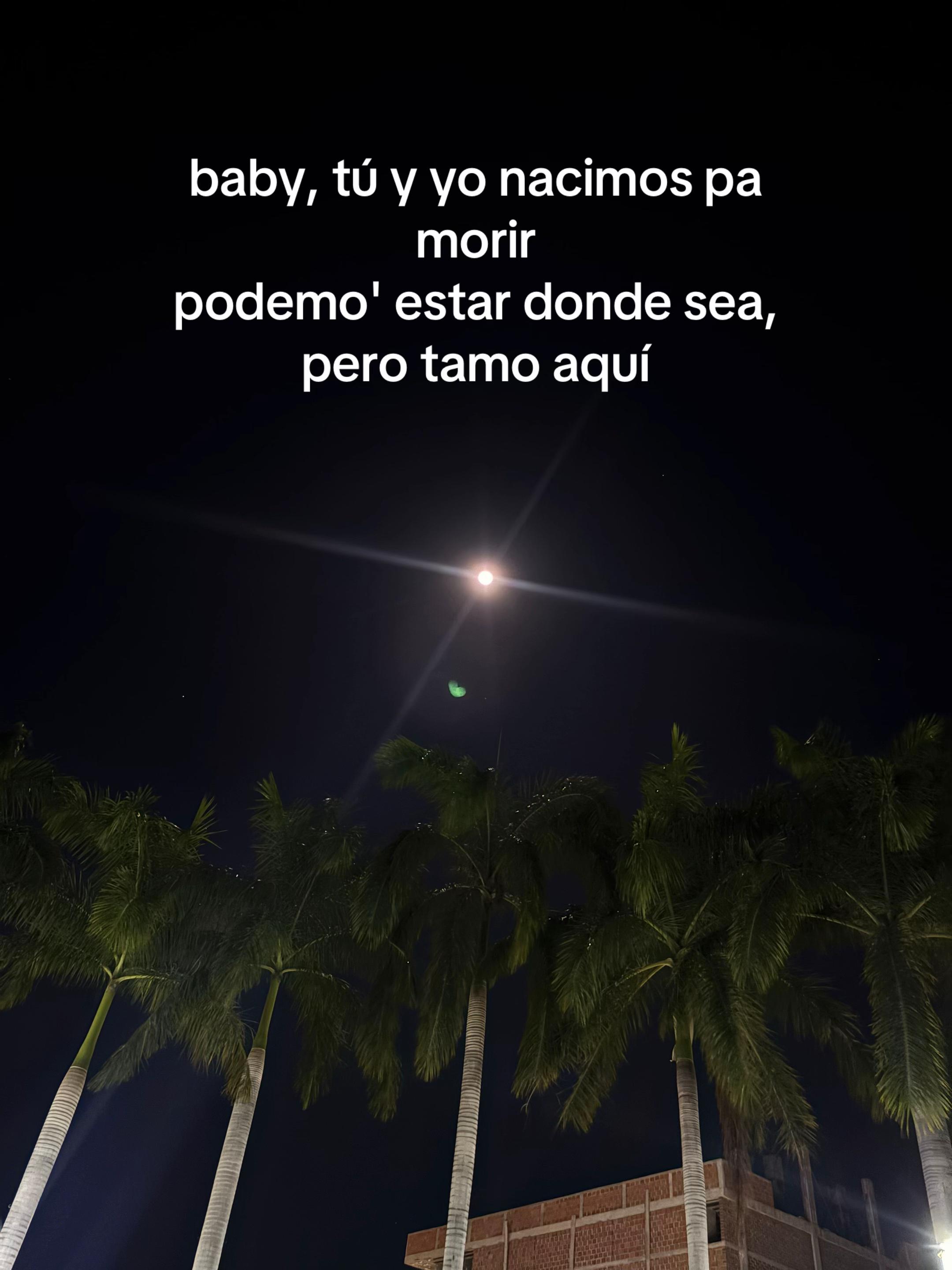 @sarah🐈&zwj;⬛