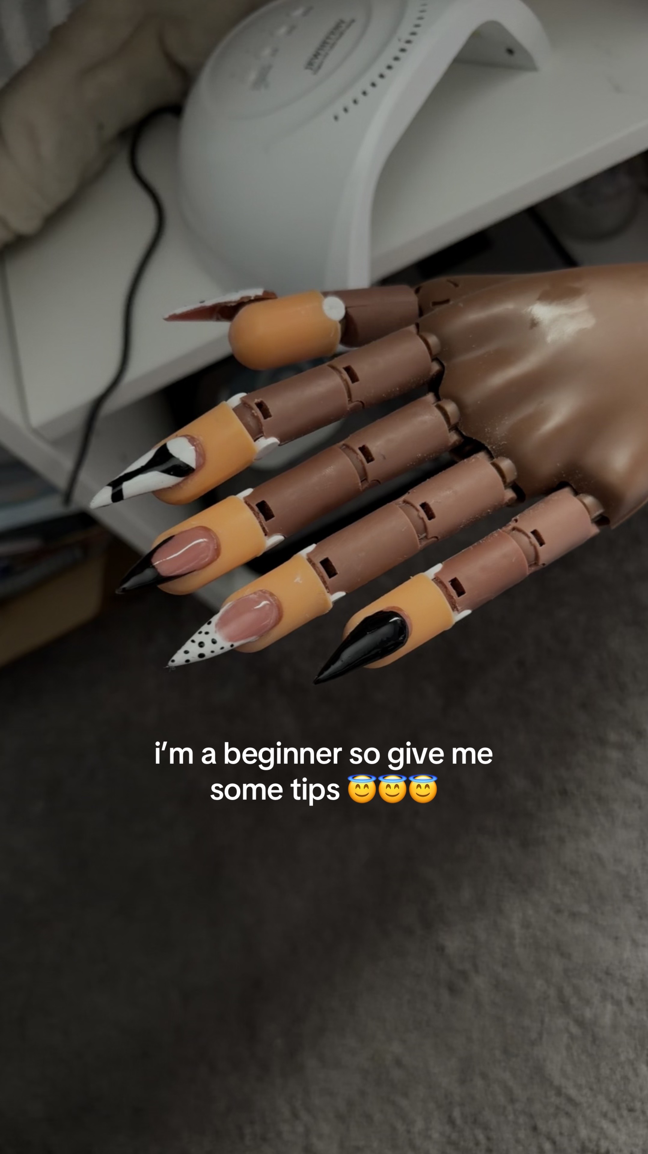 @wig influencer 🐆